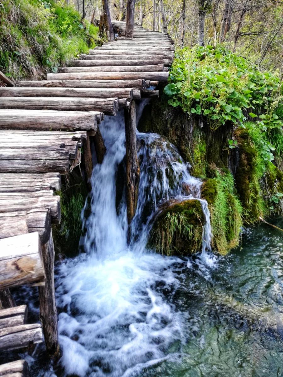 Photo 27