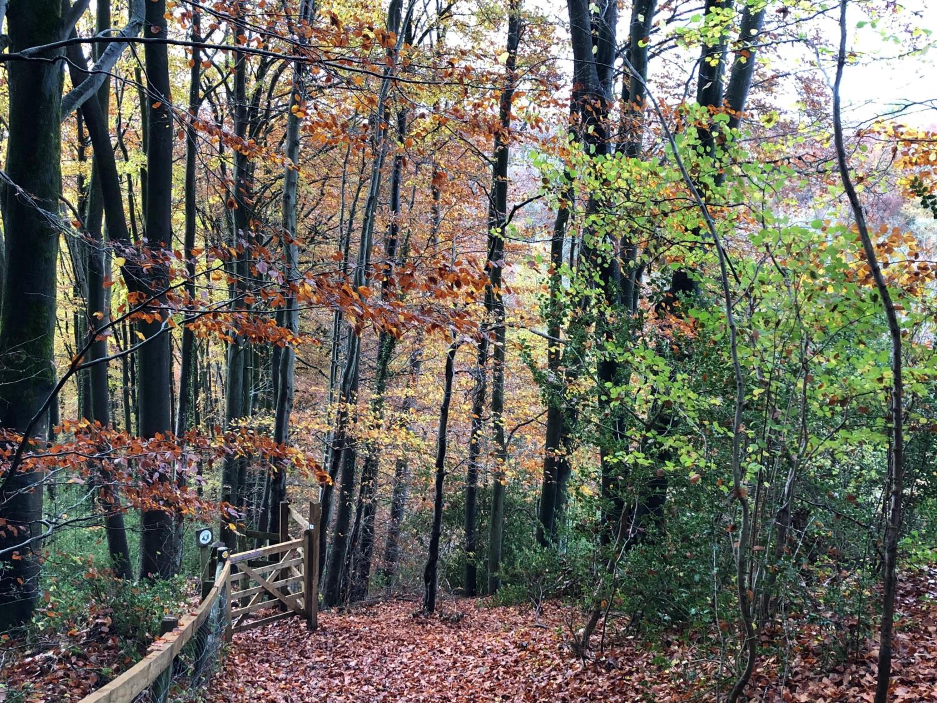 Stroud Vacations - Courtyard Cottage - Property Image 5
