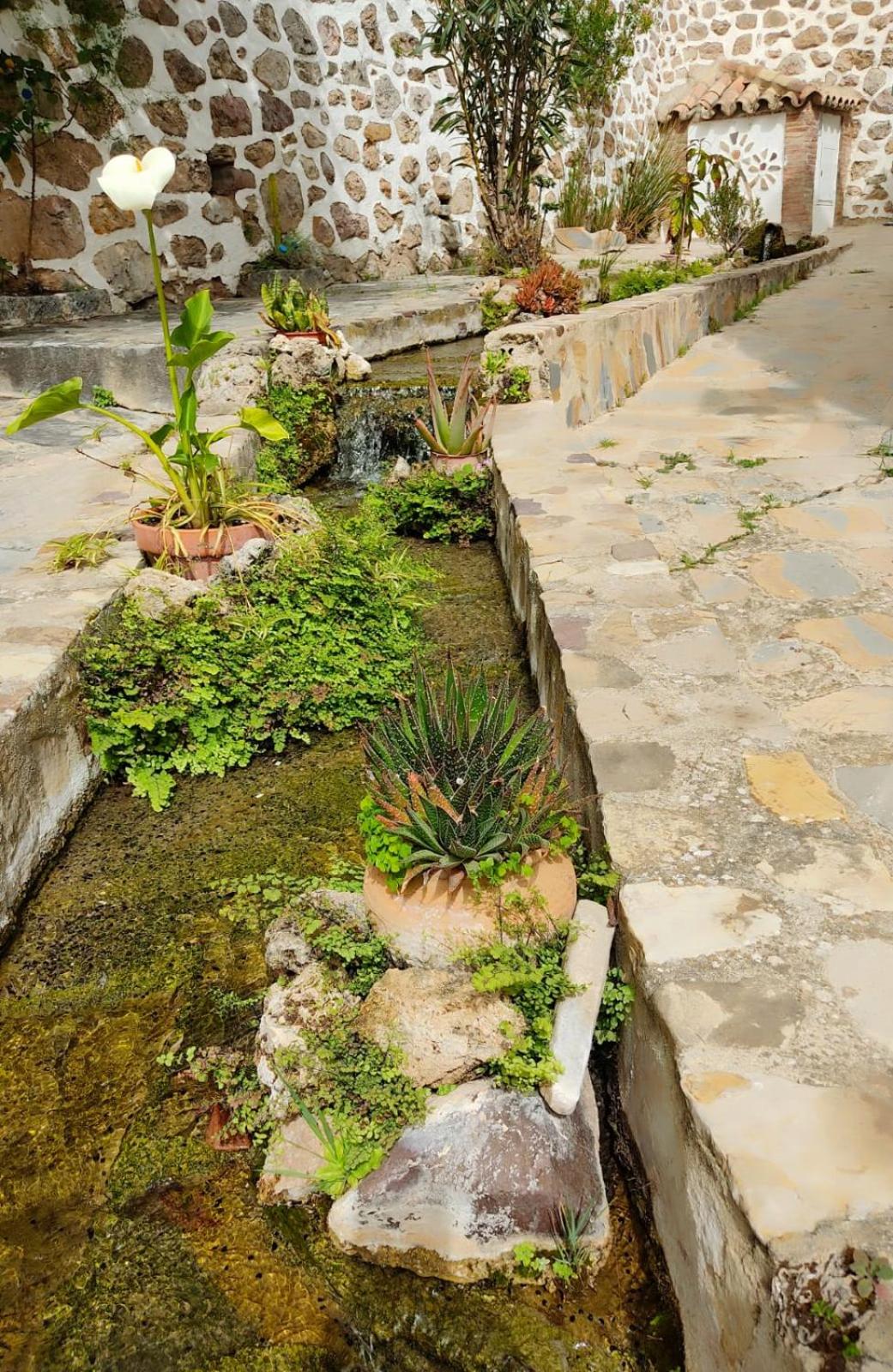 Photo 25