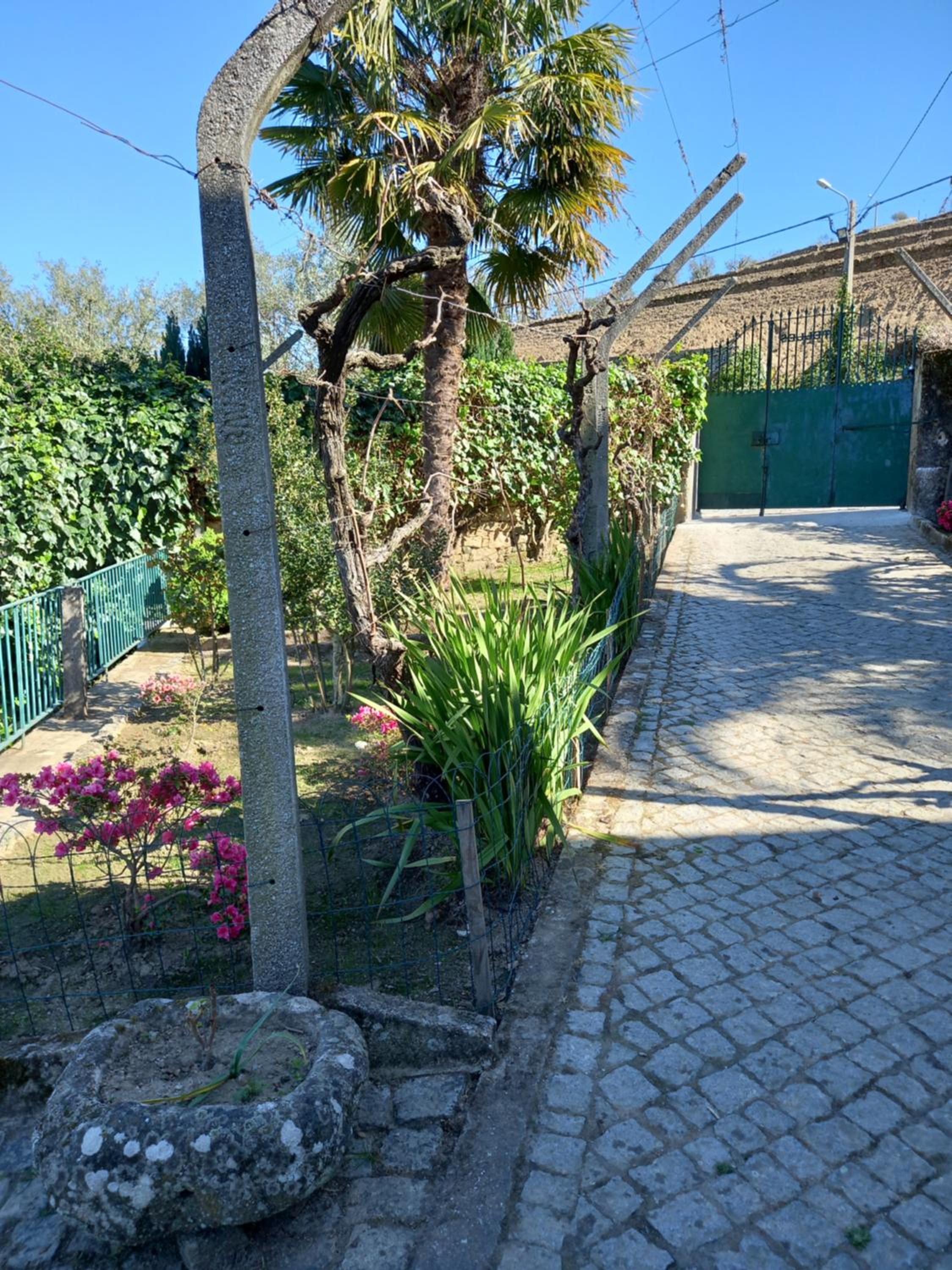 Quinta Casa Do Quintal view 5
