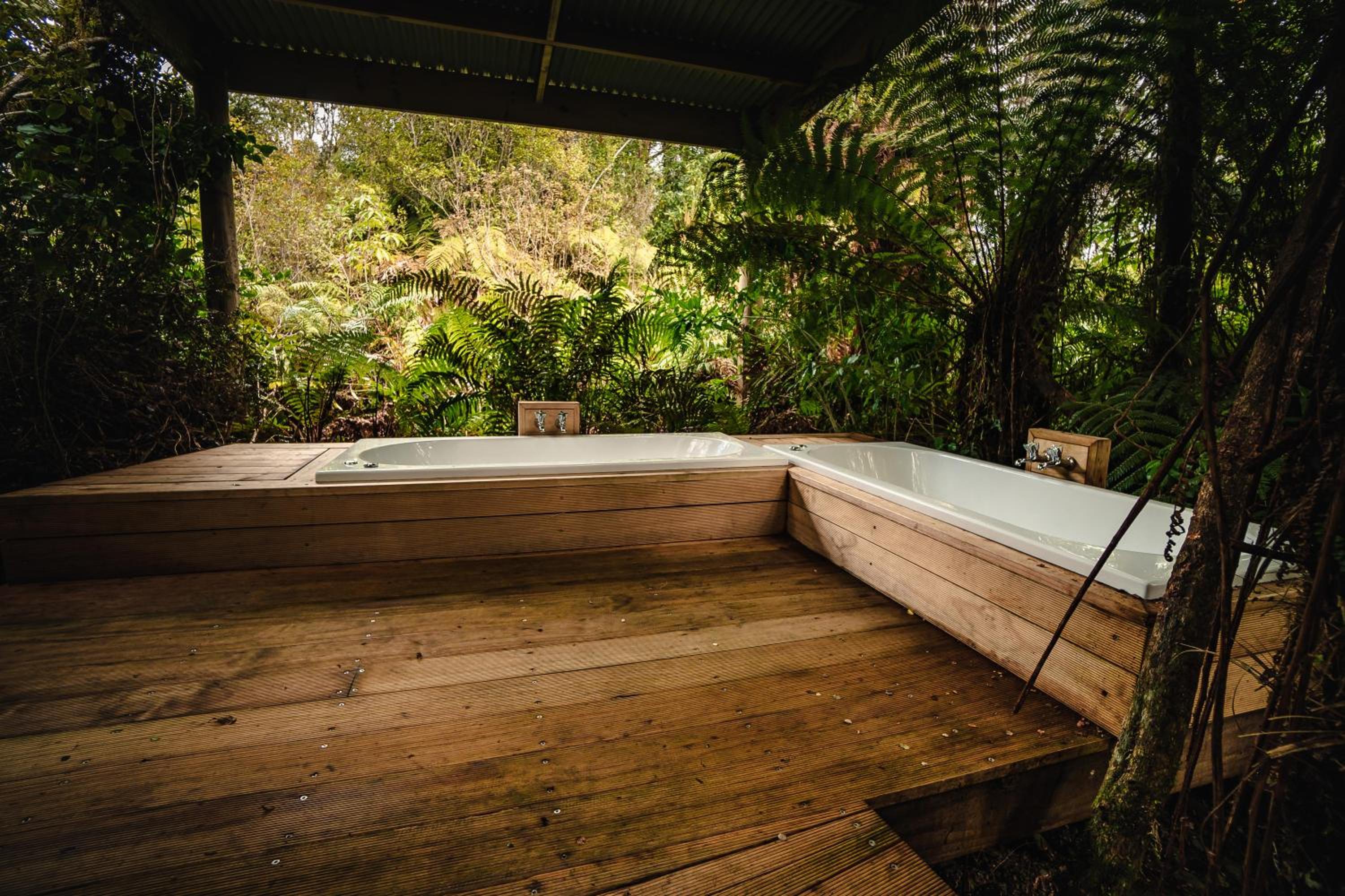 Franz Josef Treetops