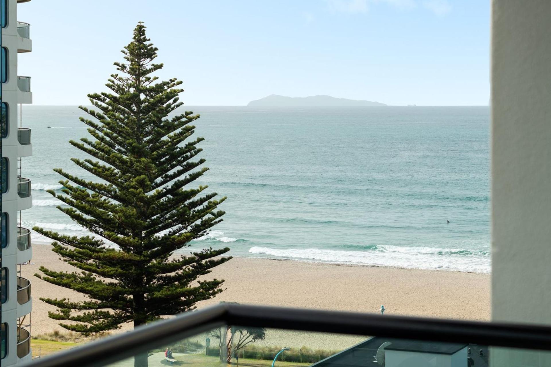 Superb Elevated Views of Harbour with Heated Pool, Gym & Parking view 4