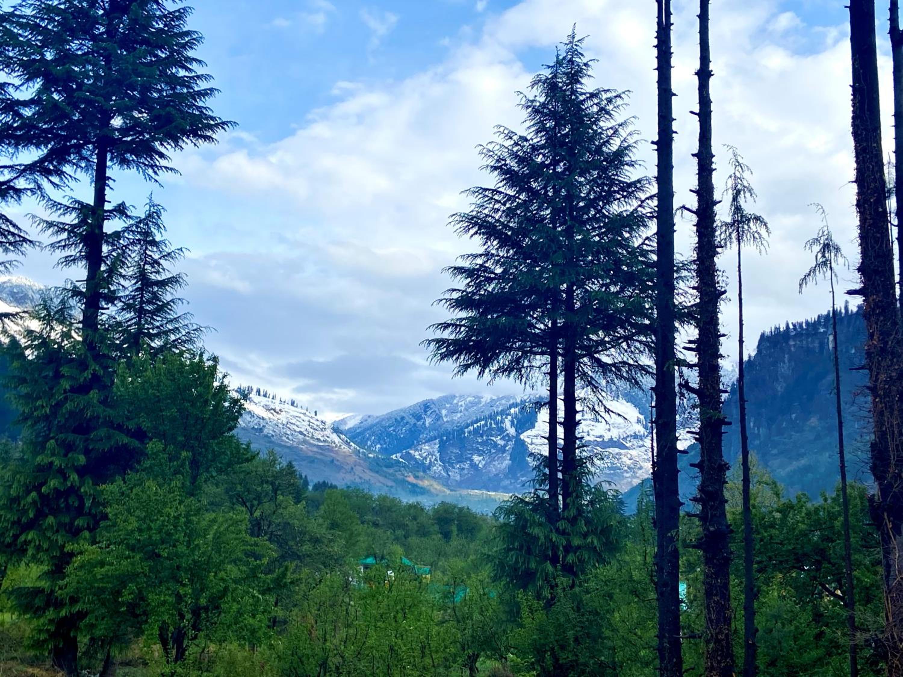 Getaway Stays Manali view 2
