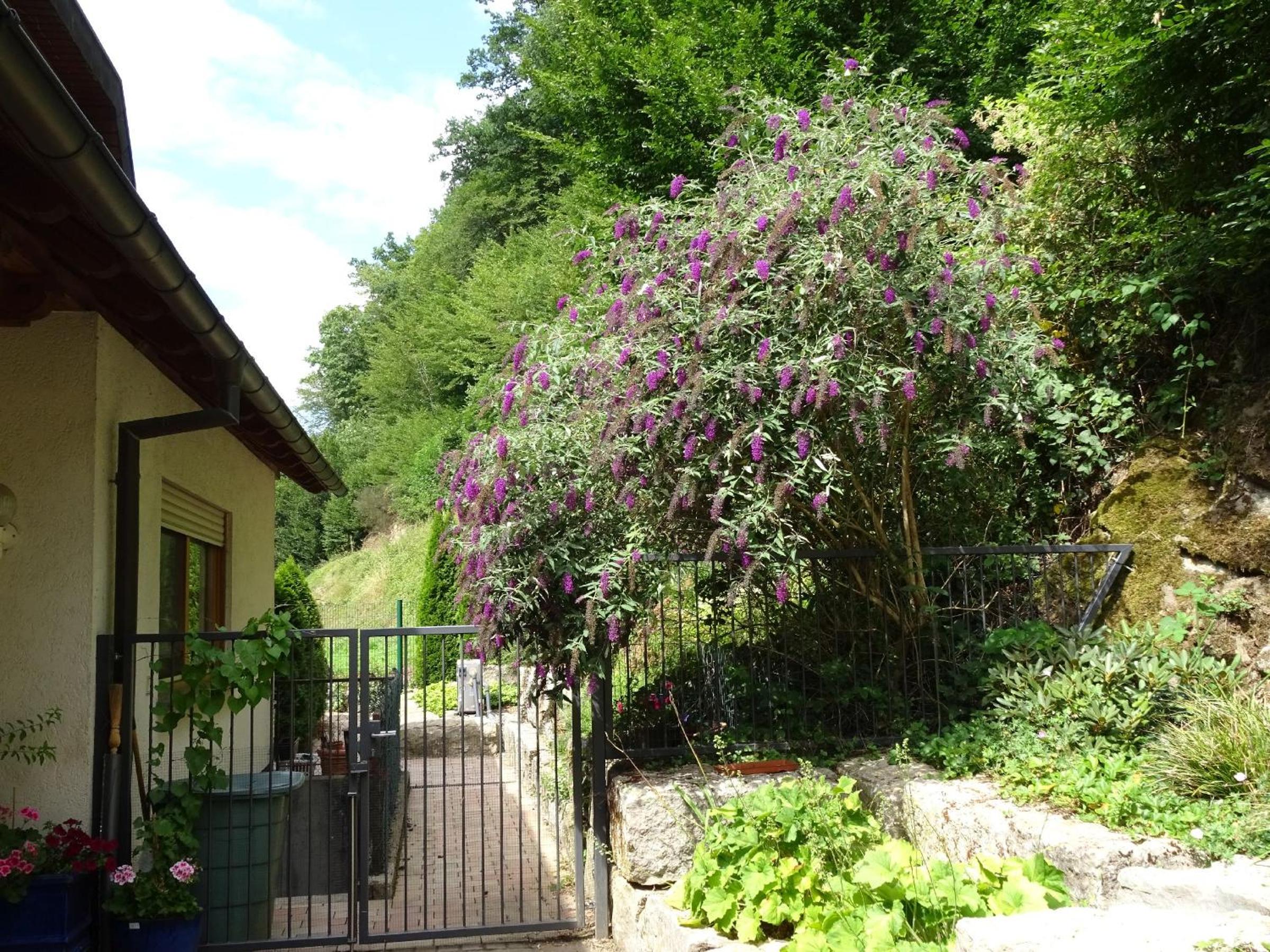 Ferienwohnung Mühlengrün