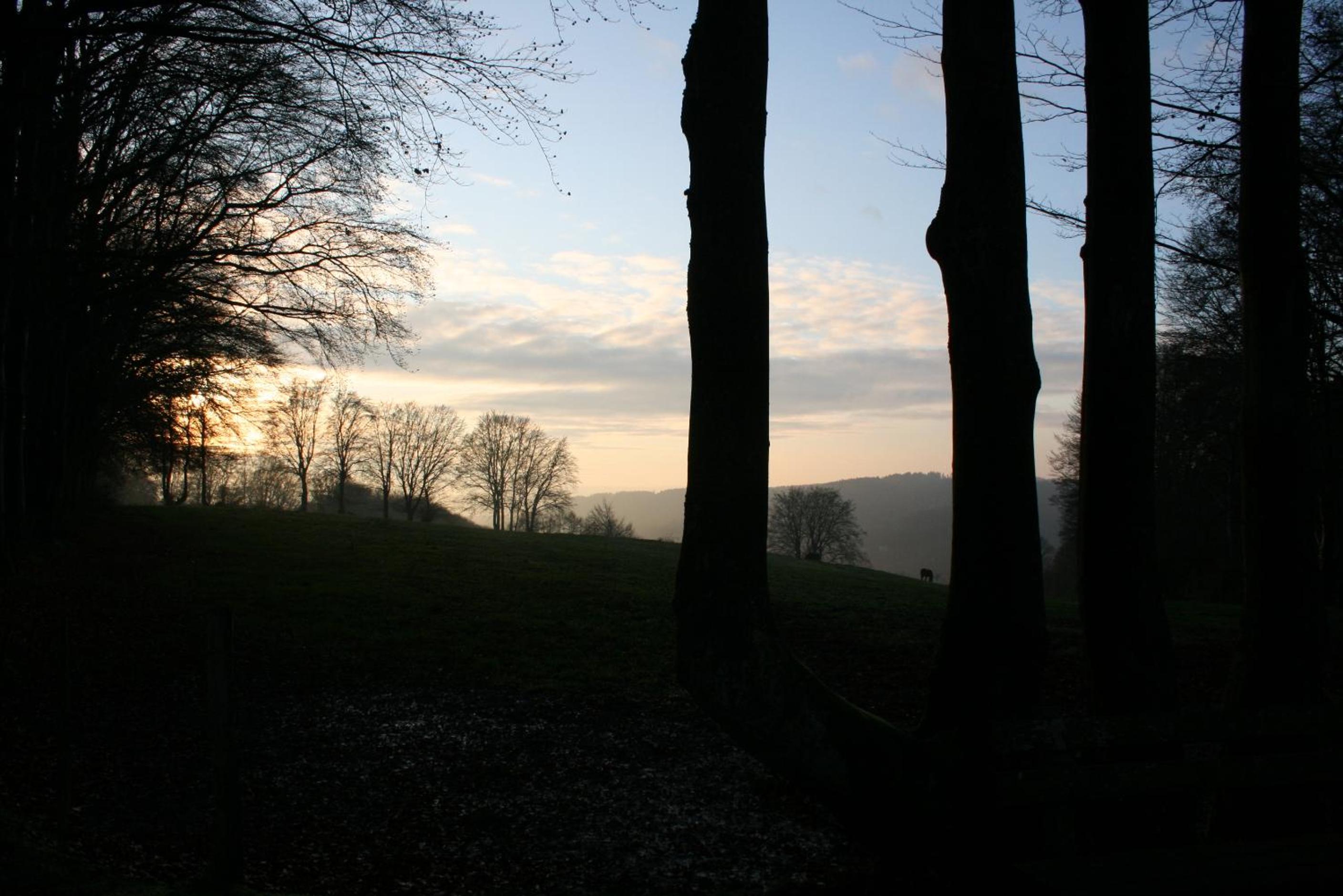 Photo 24