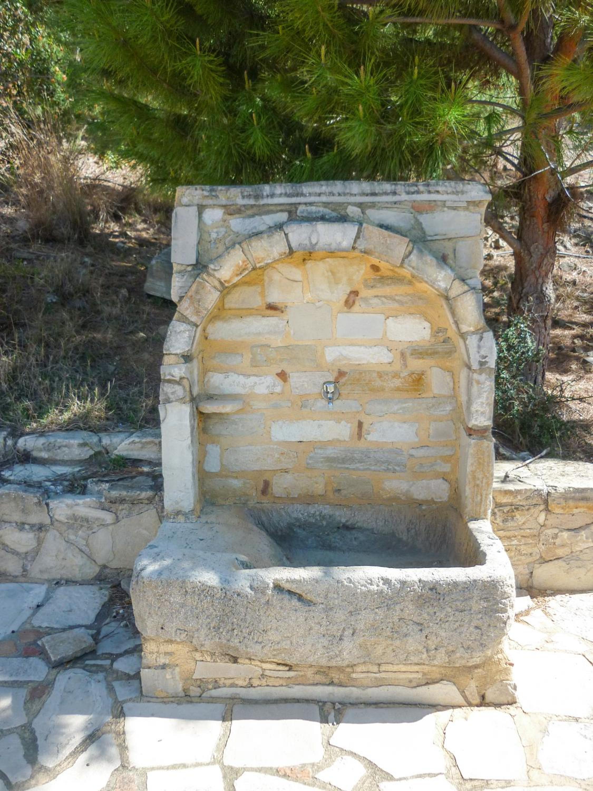 Photo 44