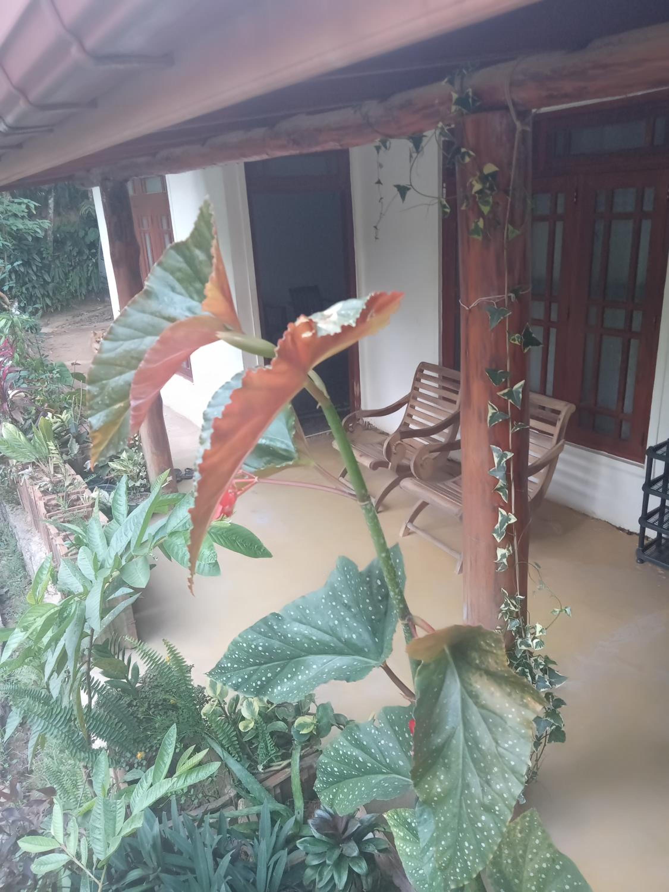 Supipi Homestay