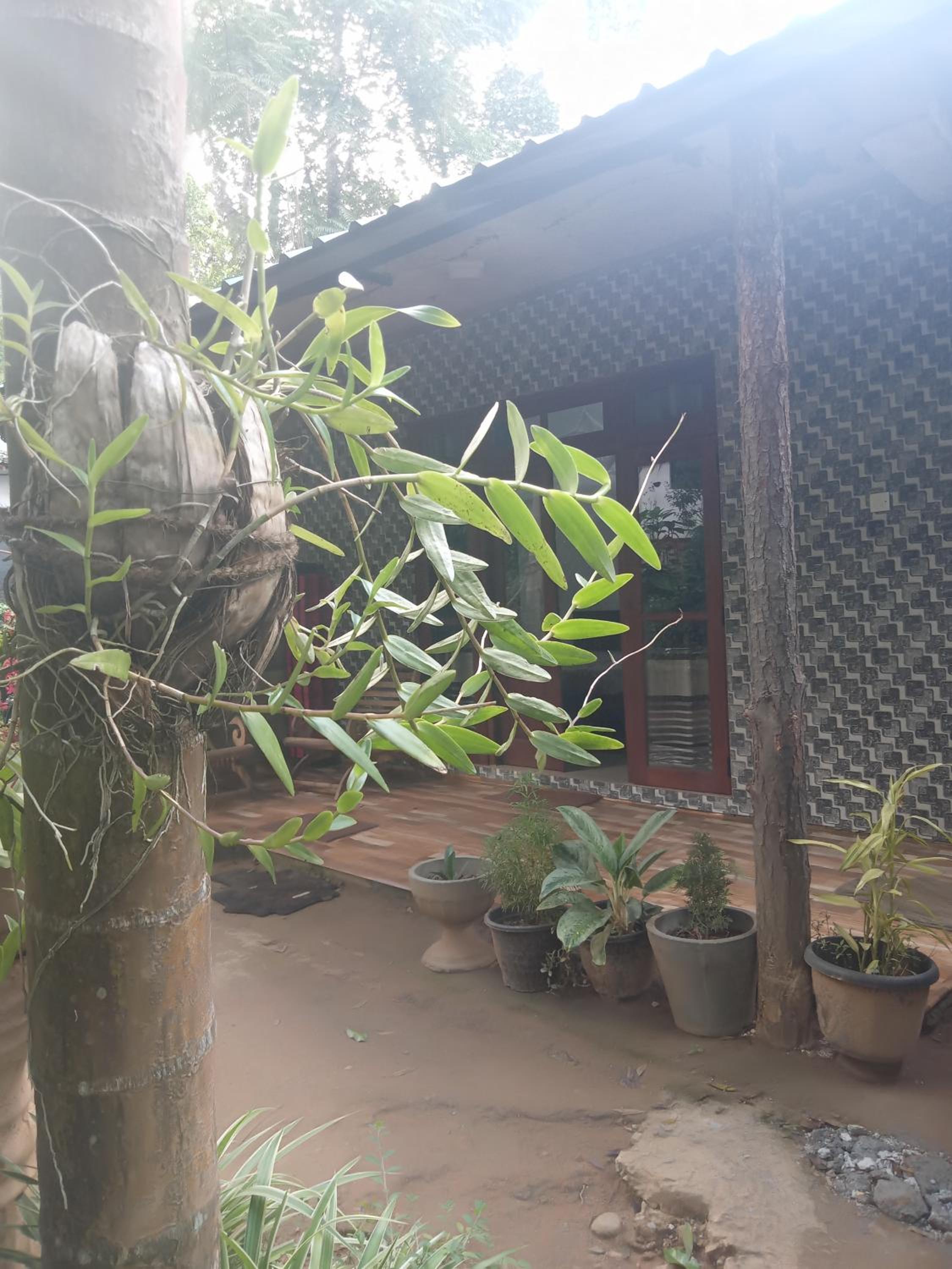 Supipi Homestay
