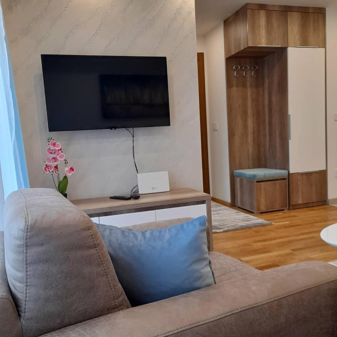 apartman i spa Luka Zlatibor view 4
