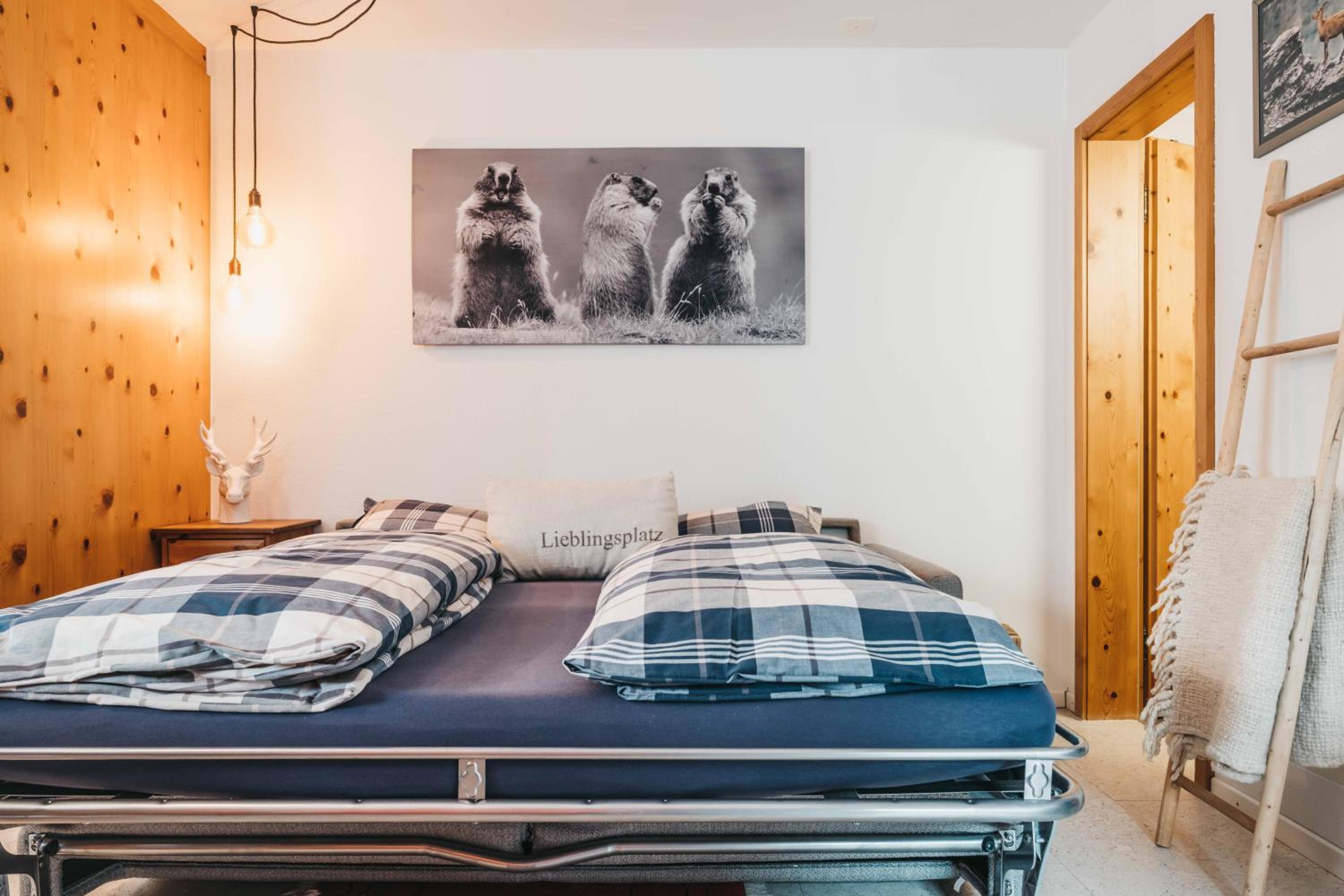 Charming 4 bed flat in Flims view 4