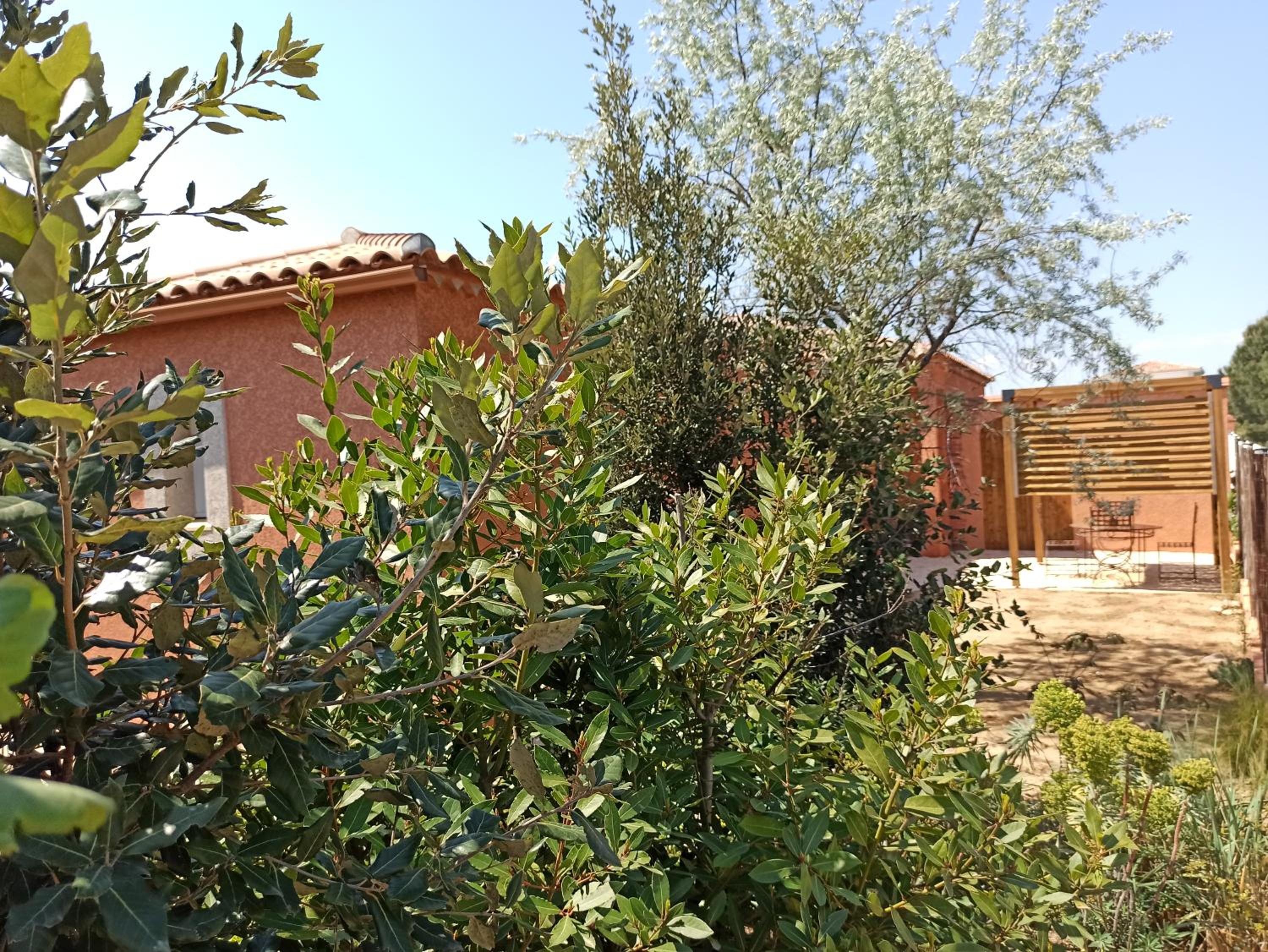 Photo 27