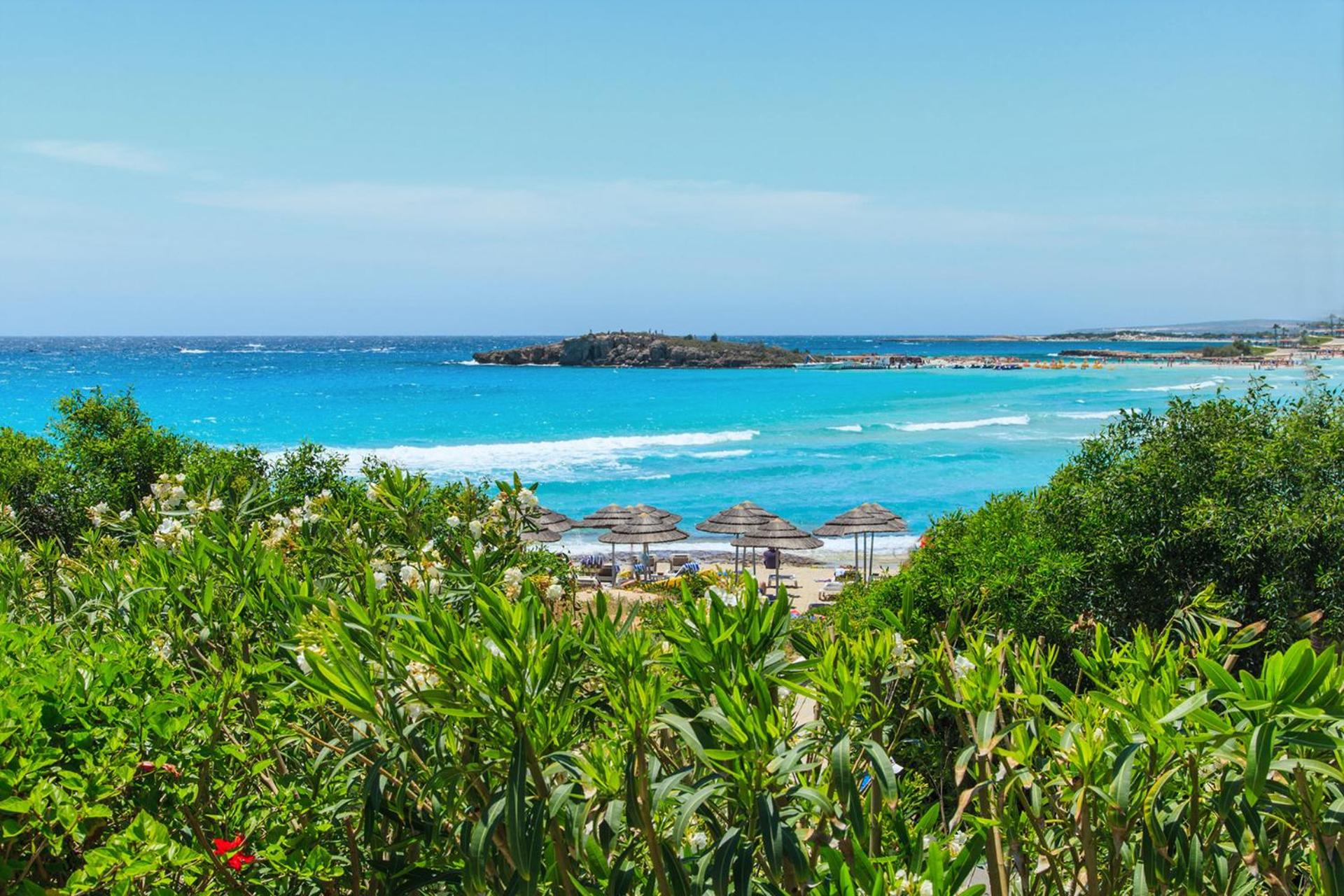 Nissini Shell, 3 bedroom villa with private pool at Nissi Beach view 5