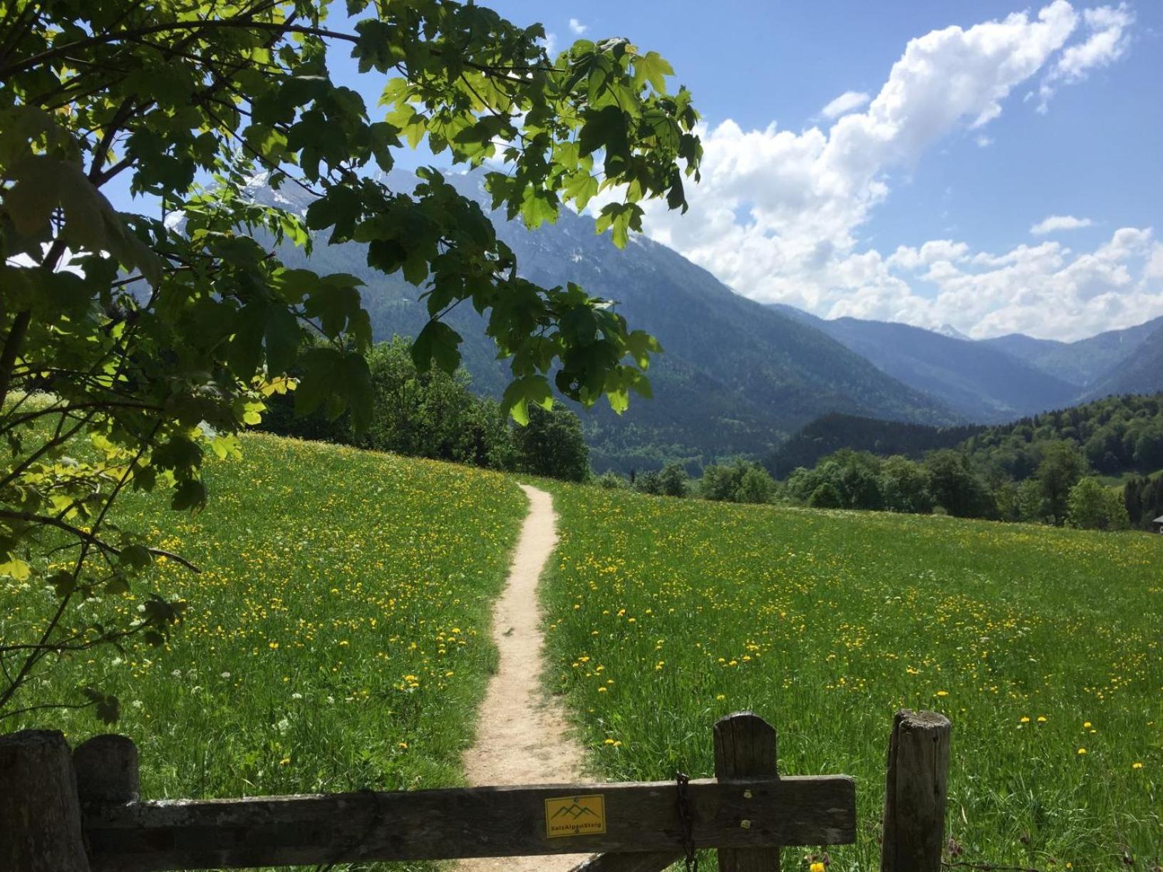 Ferienwohnung Bergblick view 5