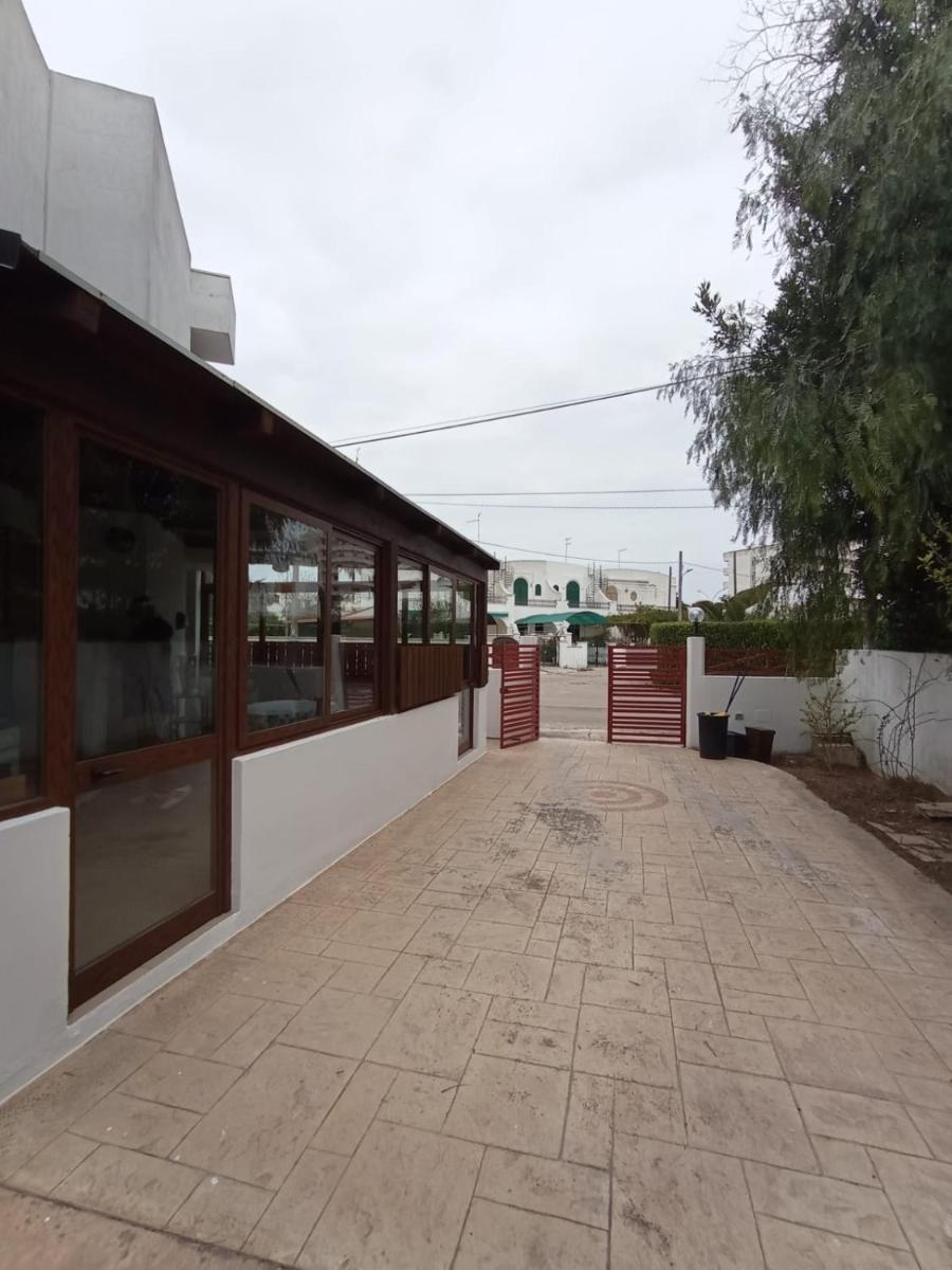 Photo 42