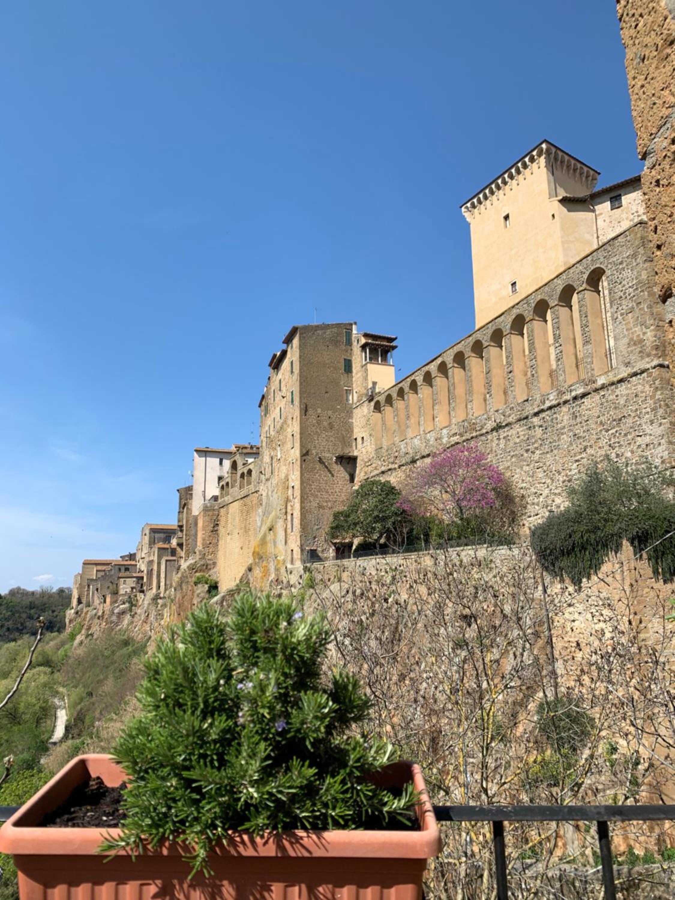 Terrazza sul Tufo view 5