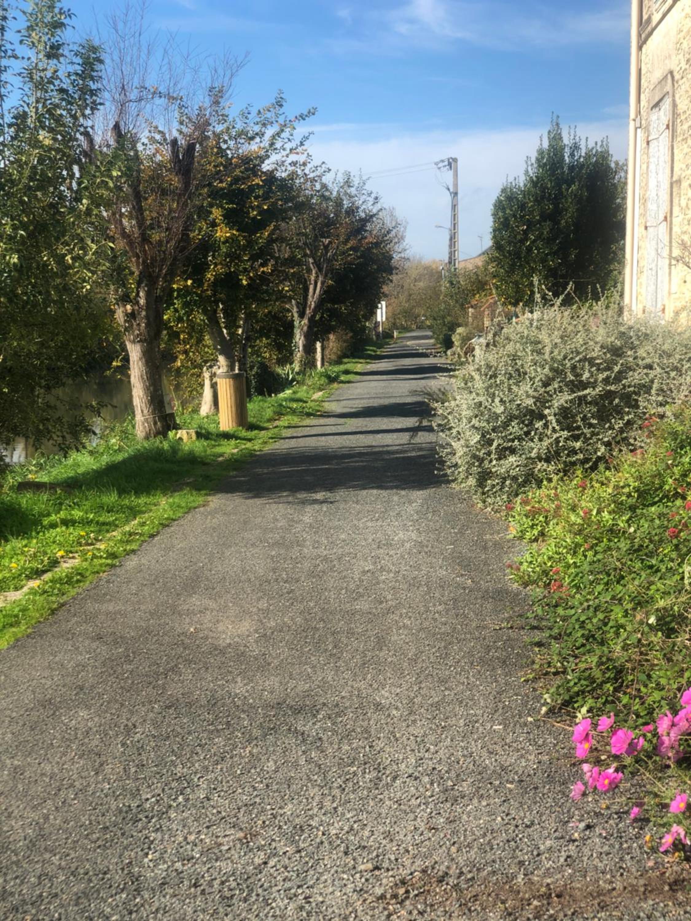 Photo 29