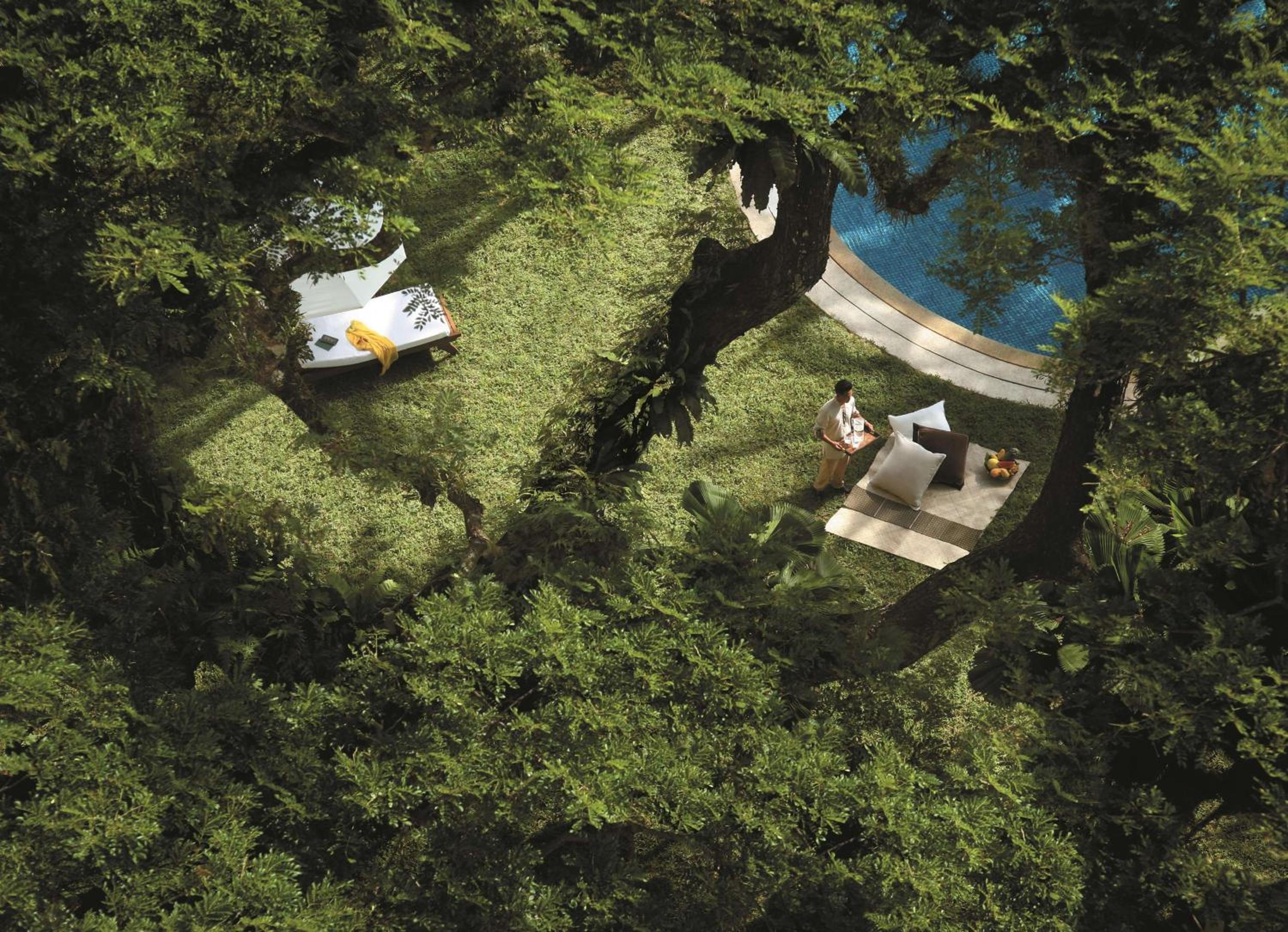 Photo 100