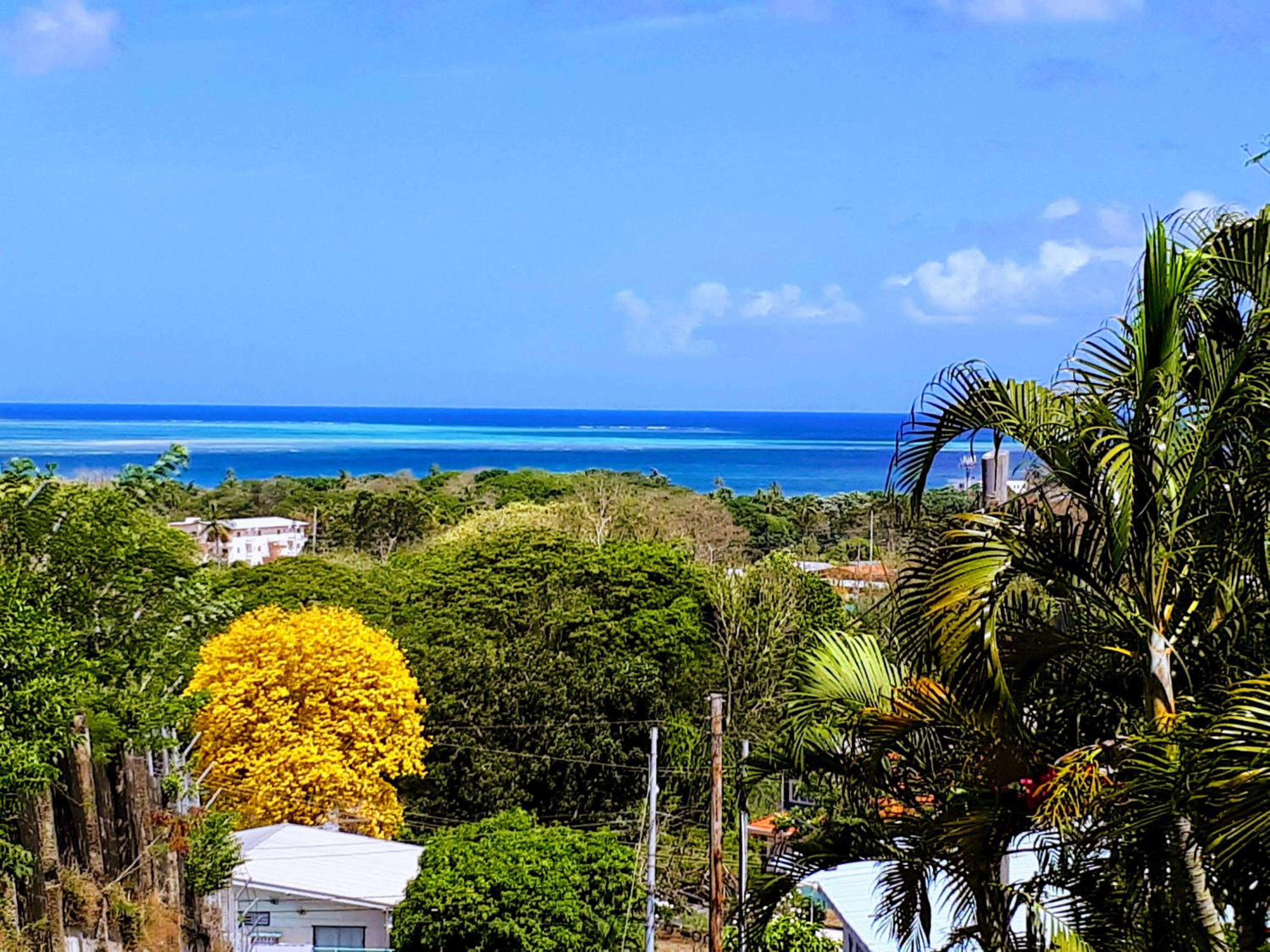 The Nest Tobago Apartments