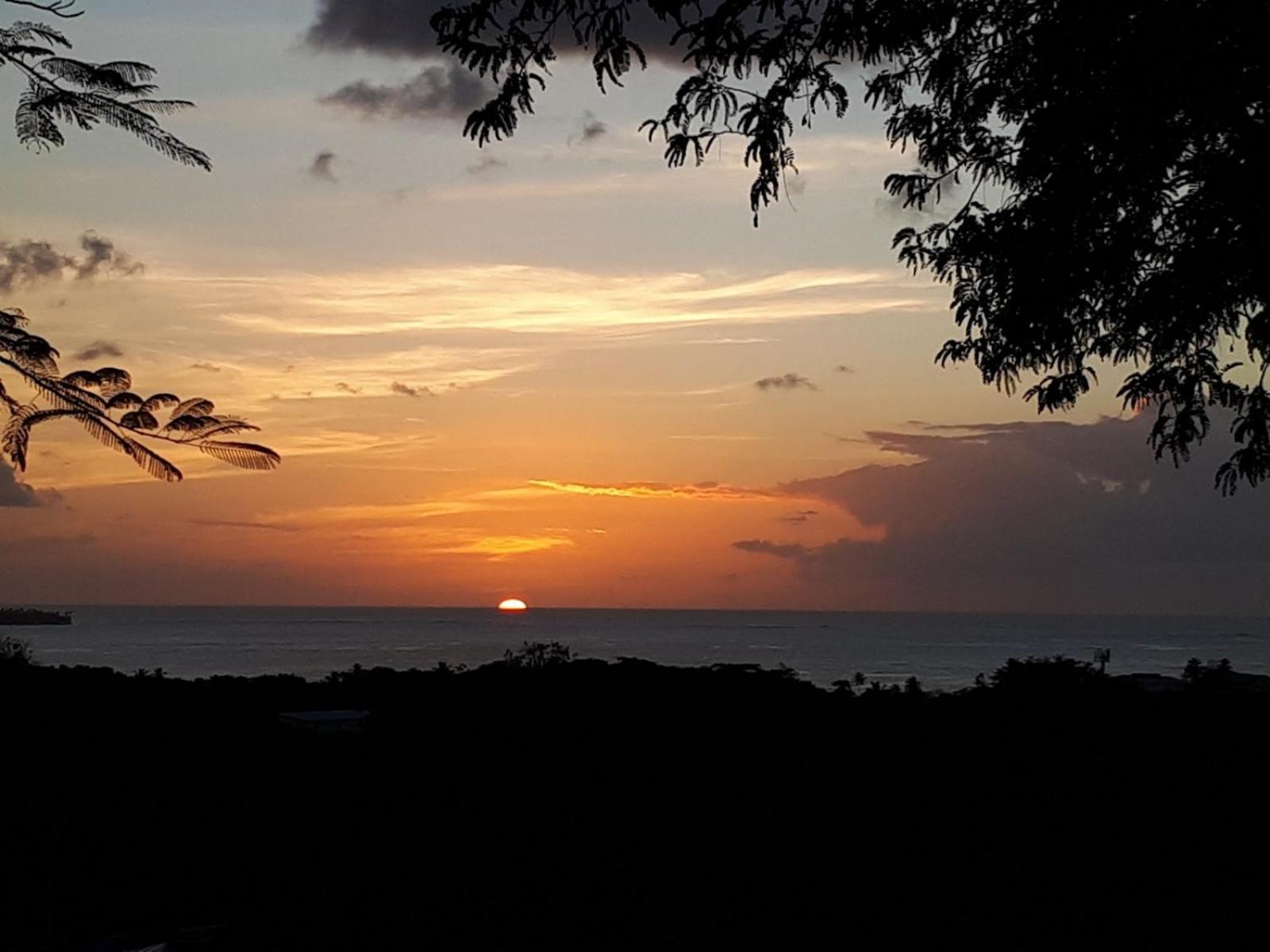 The Nest Tobago Apartments