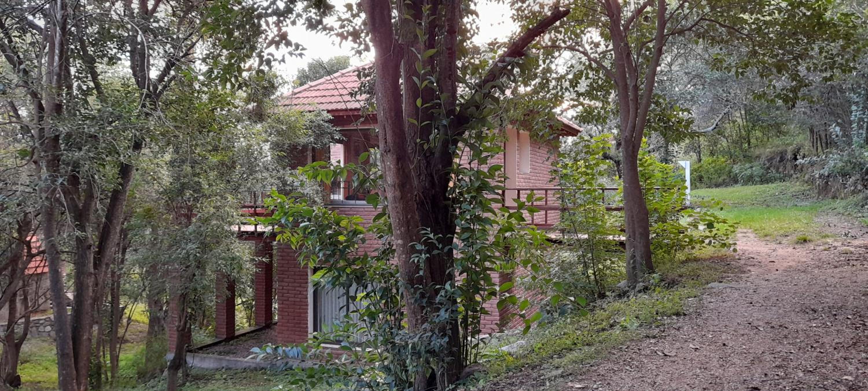 Cabañas Bosque Encantado