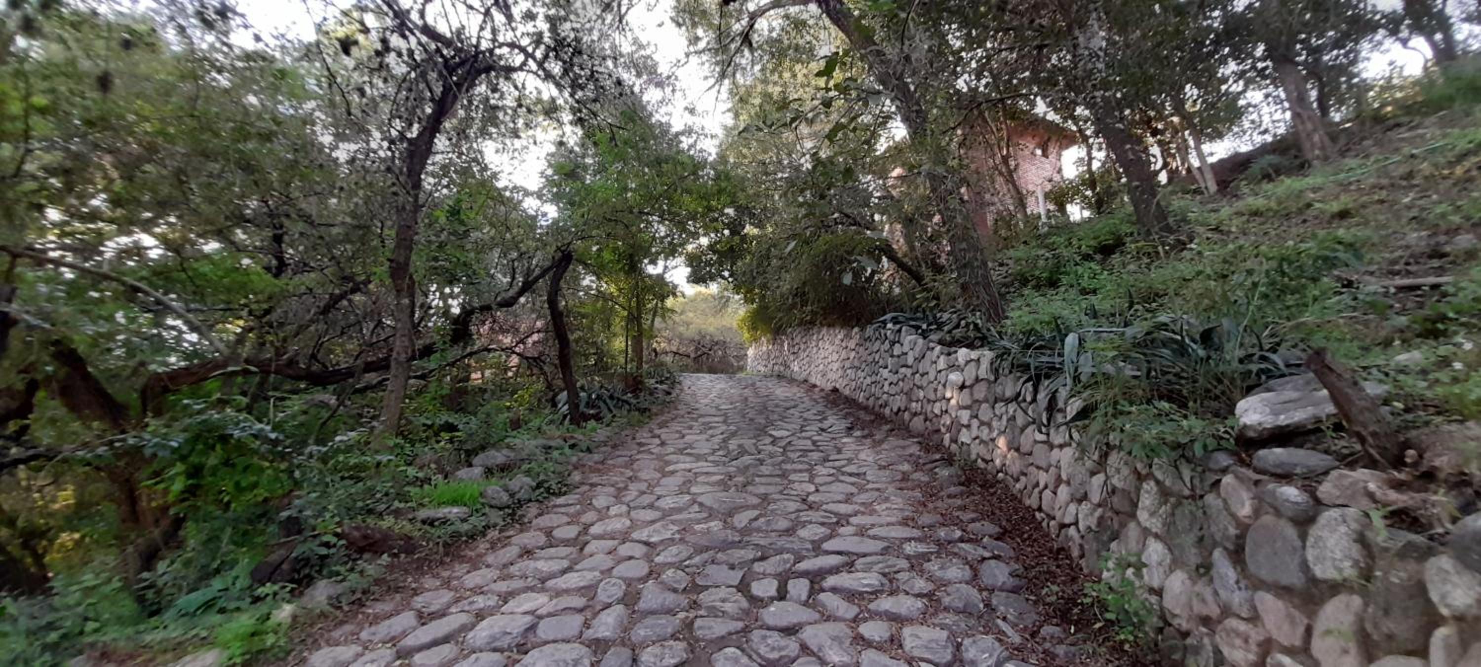 Cabañas Bosque Encantado
