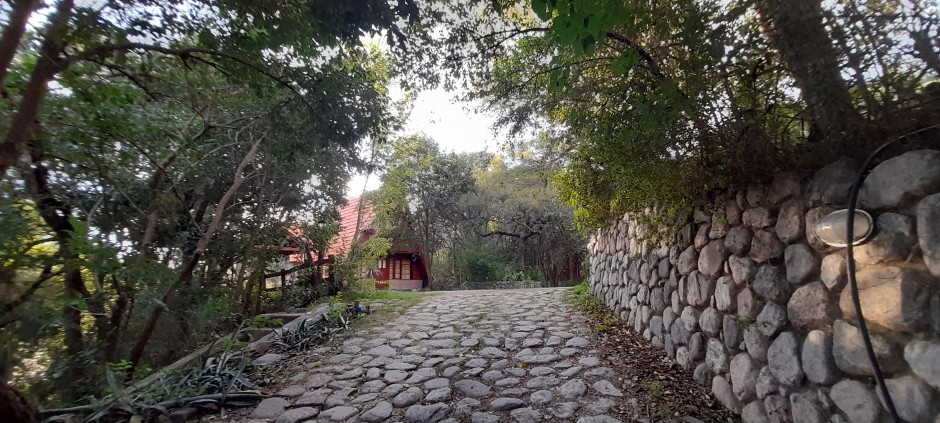 Cabañas Bosque Encantado