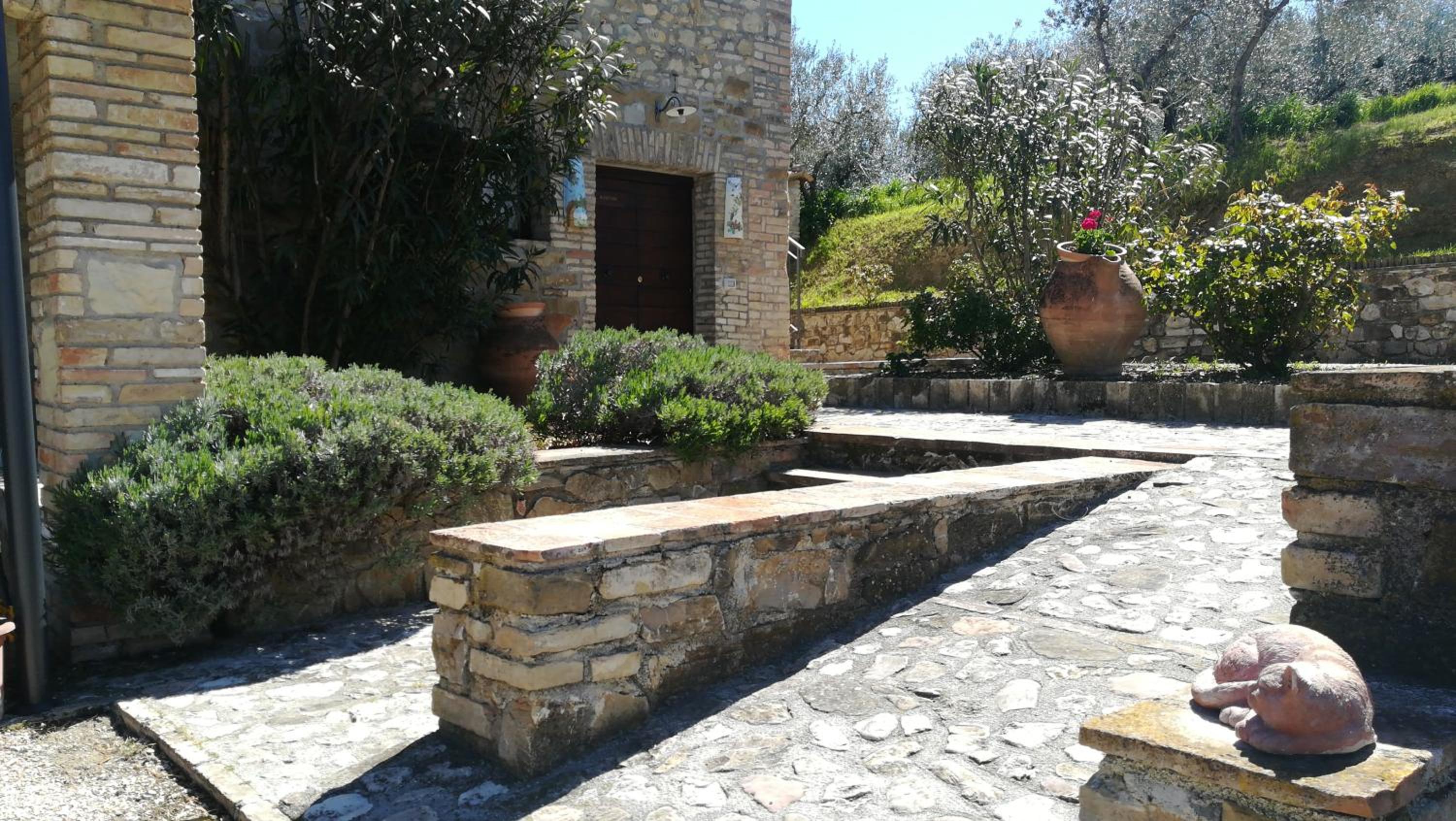 Photo 8