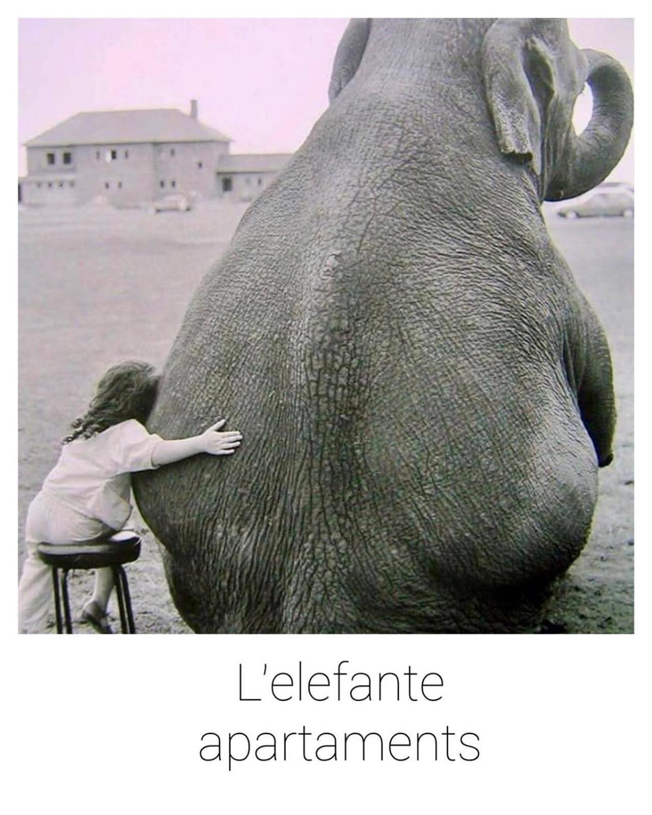 elefante appartamenti