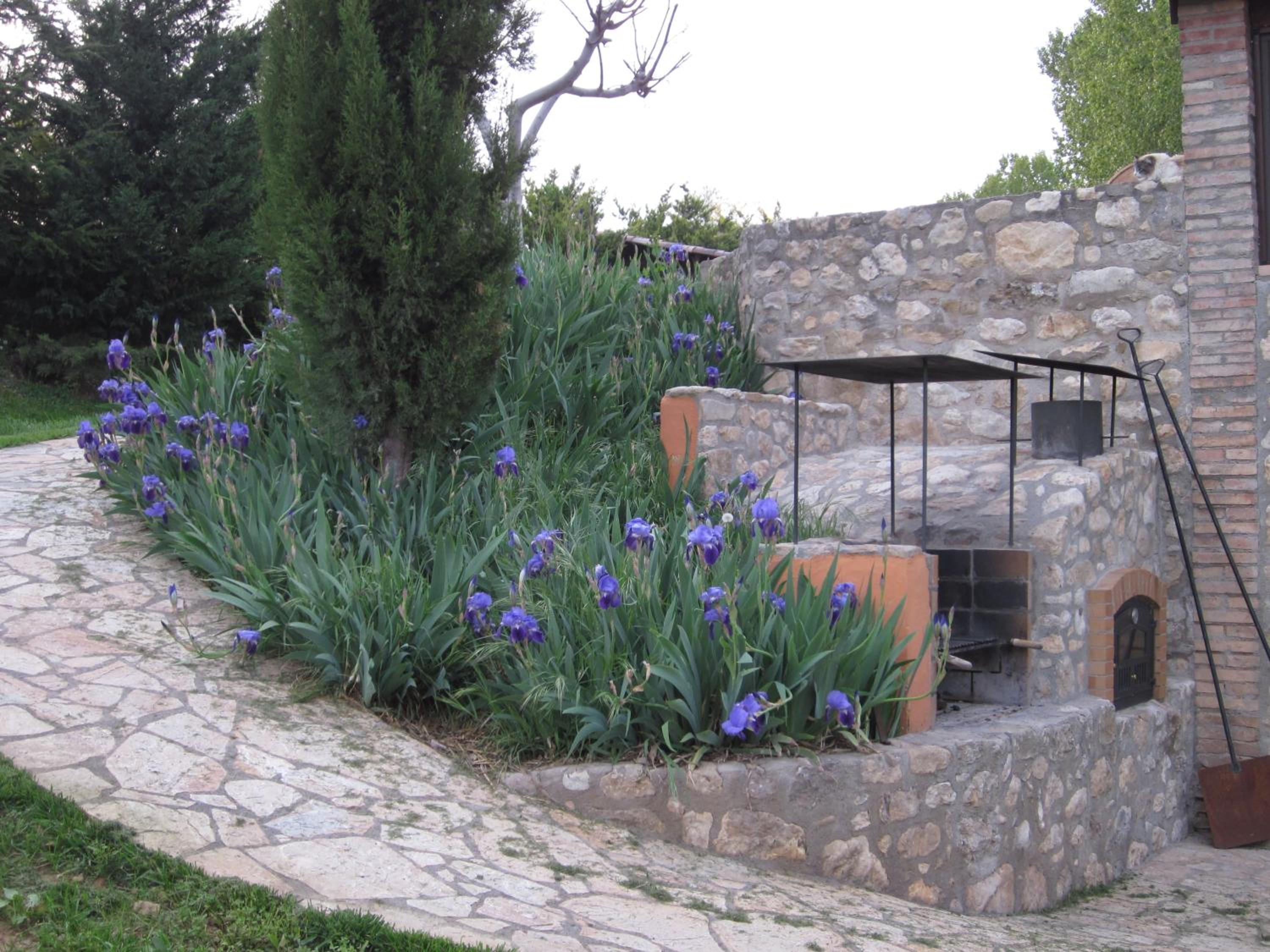 Photo 25