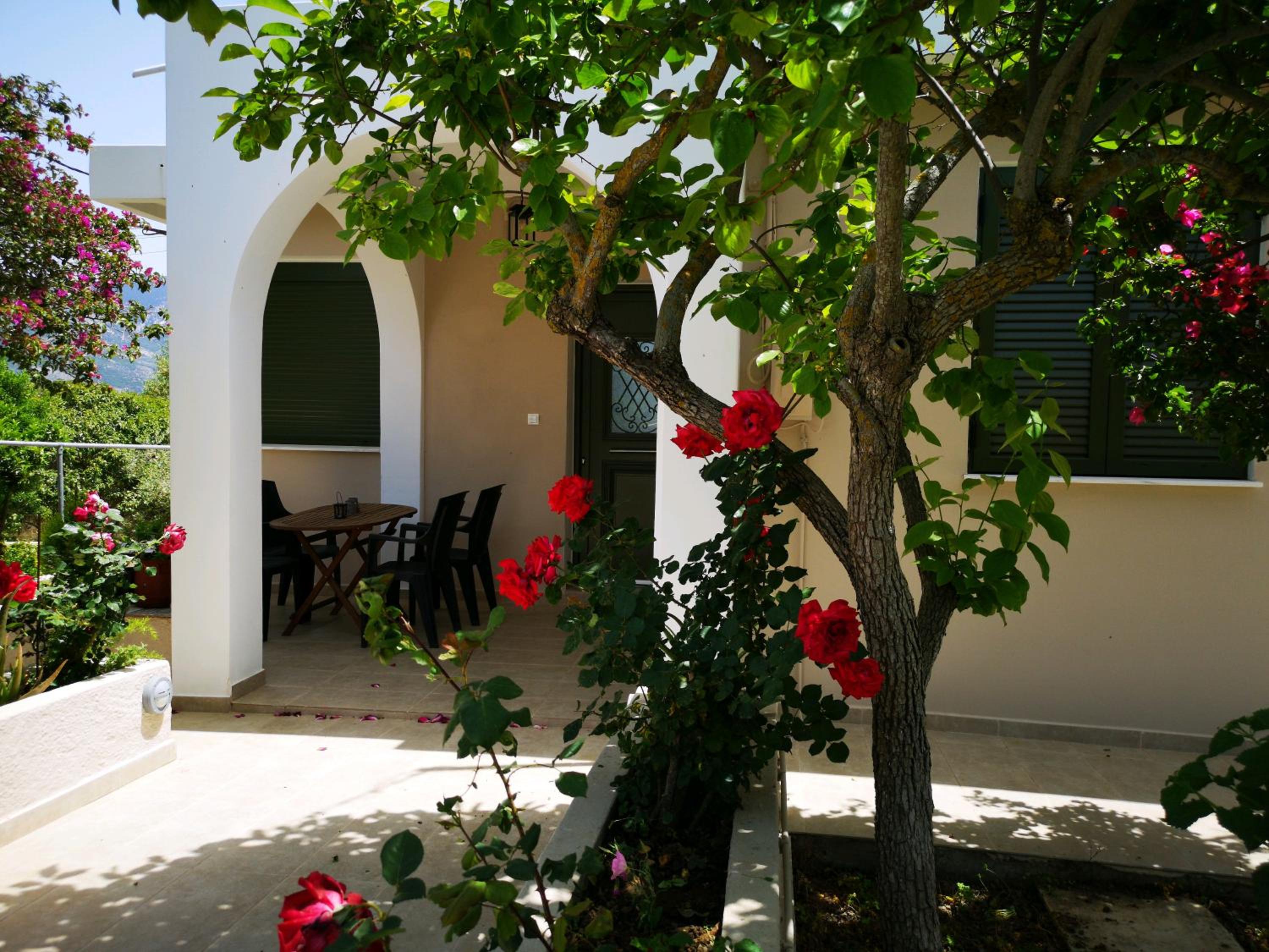 Casa da Bugainvillea photo 4