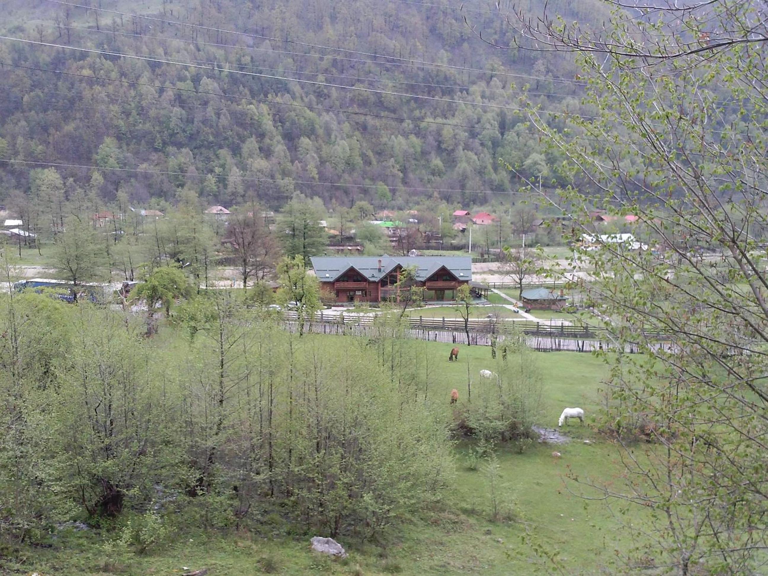 Photo 37