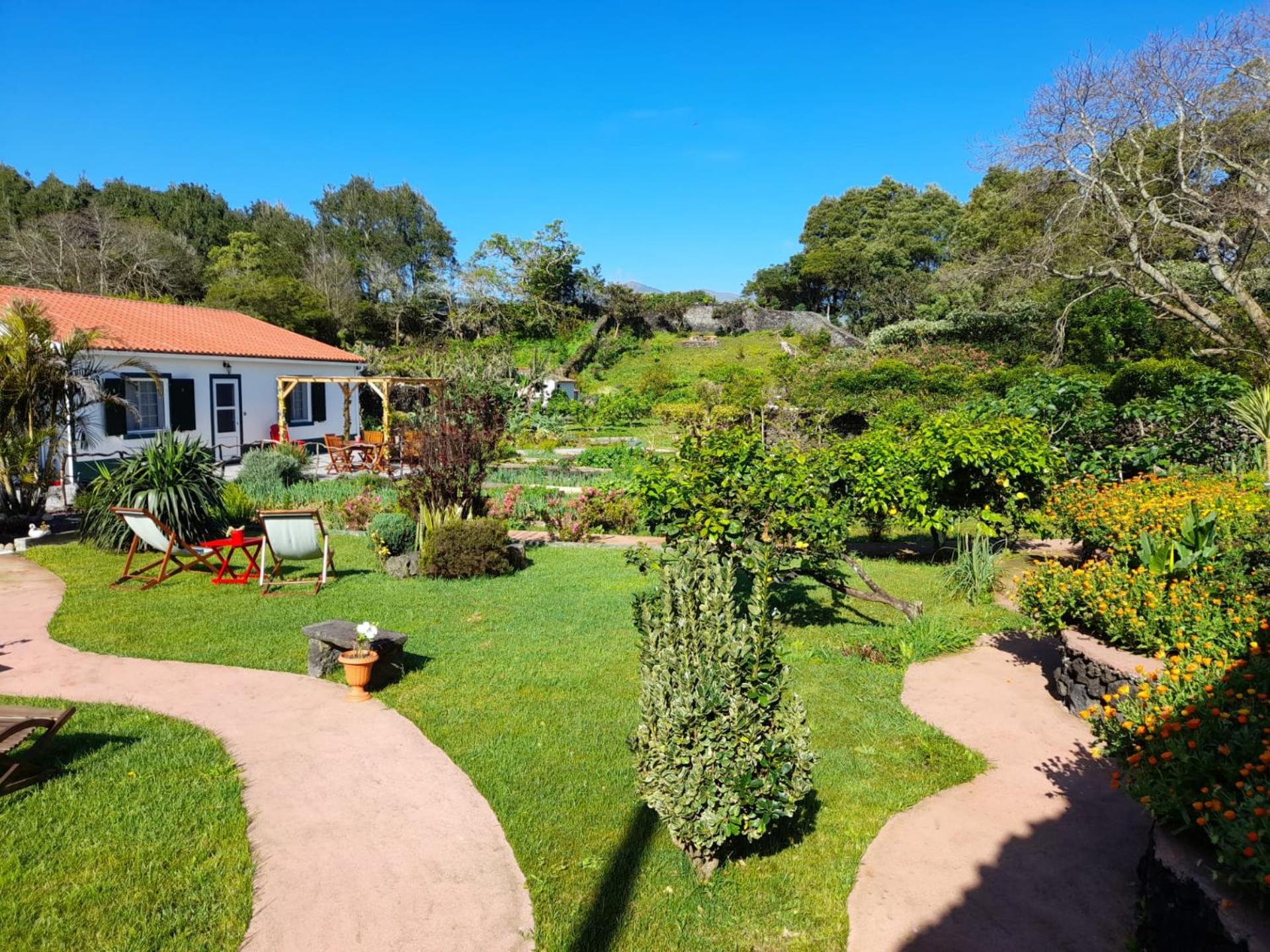 Quinta dos Sentidos Eco Nature Retreat in Azores view 4