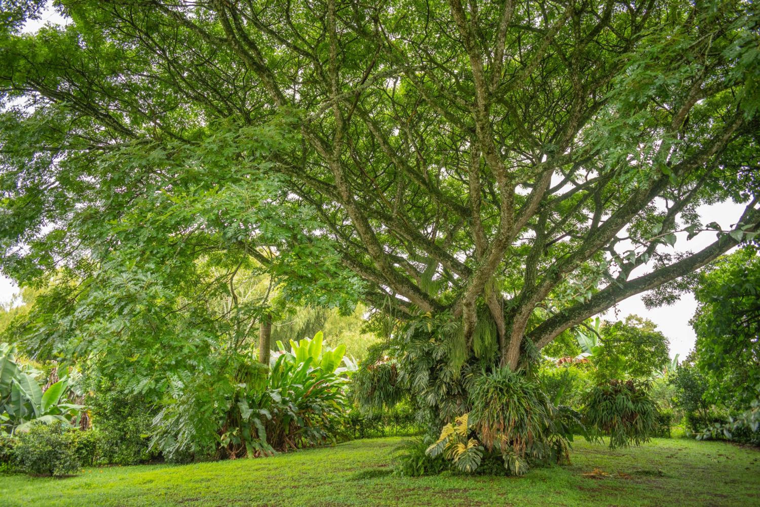 Casa Finca Los Mojitos
