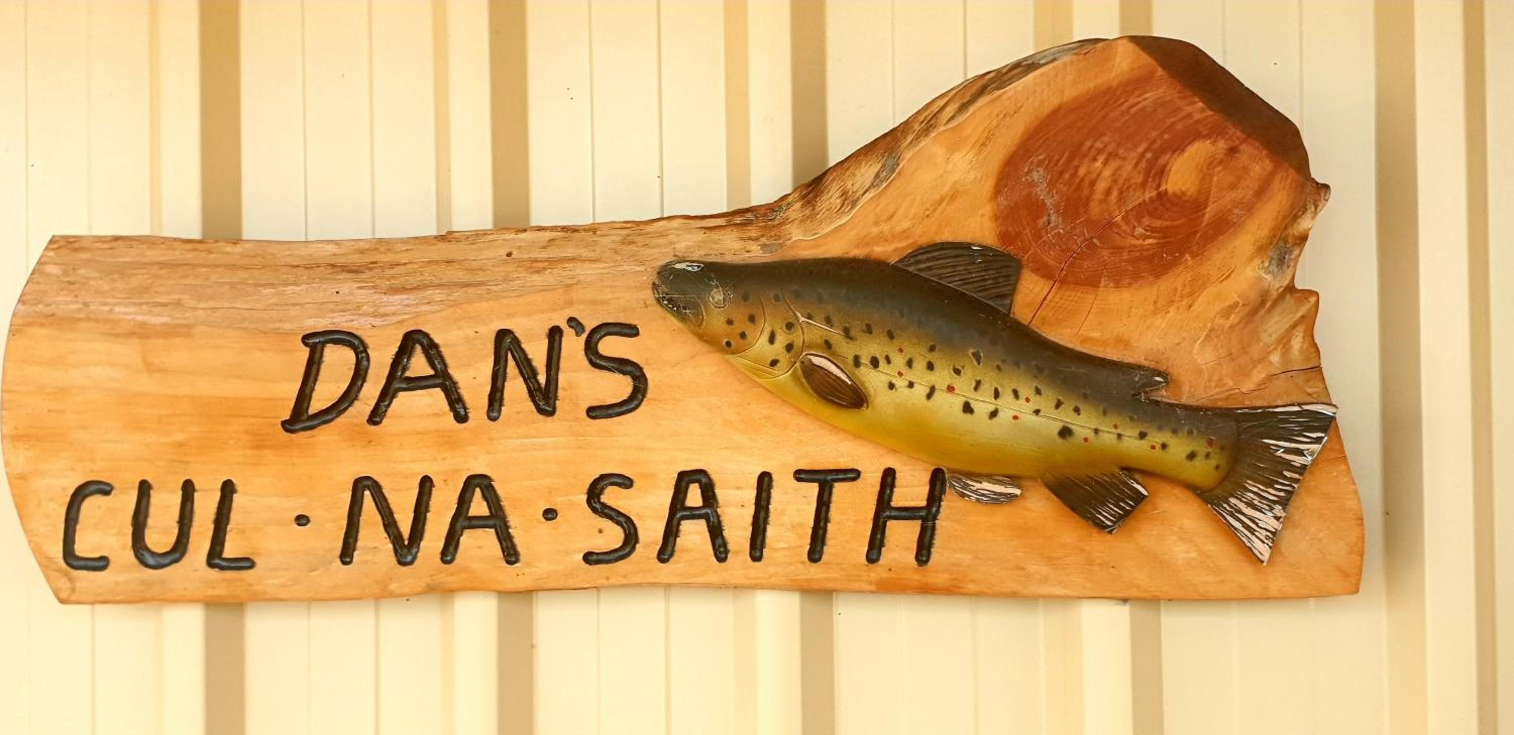 Dan's Cul-Na-Saith