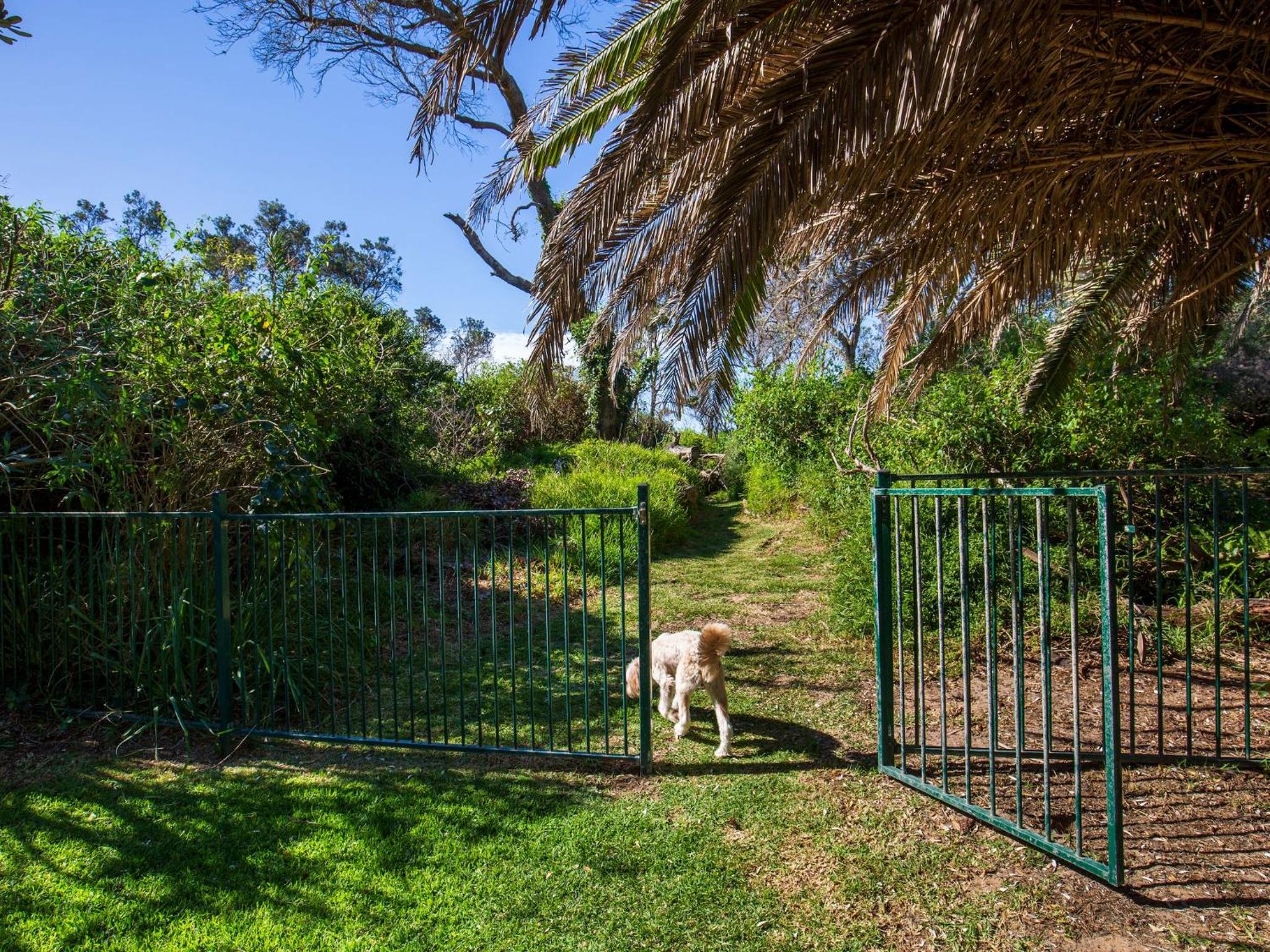 Surfspray I Pet Friendly I Absolute Beachfront