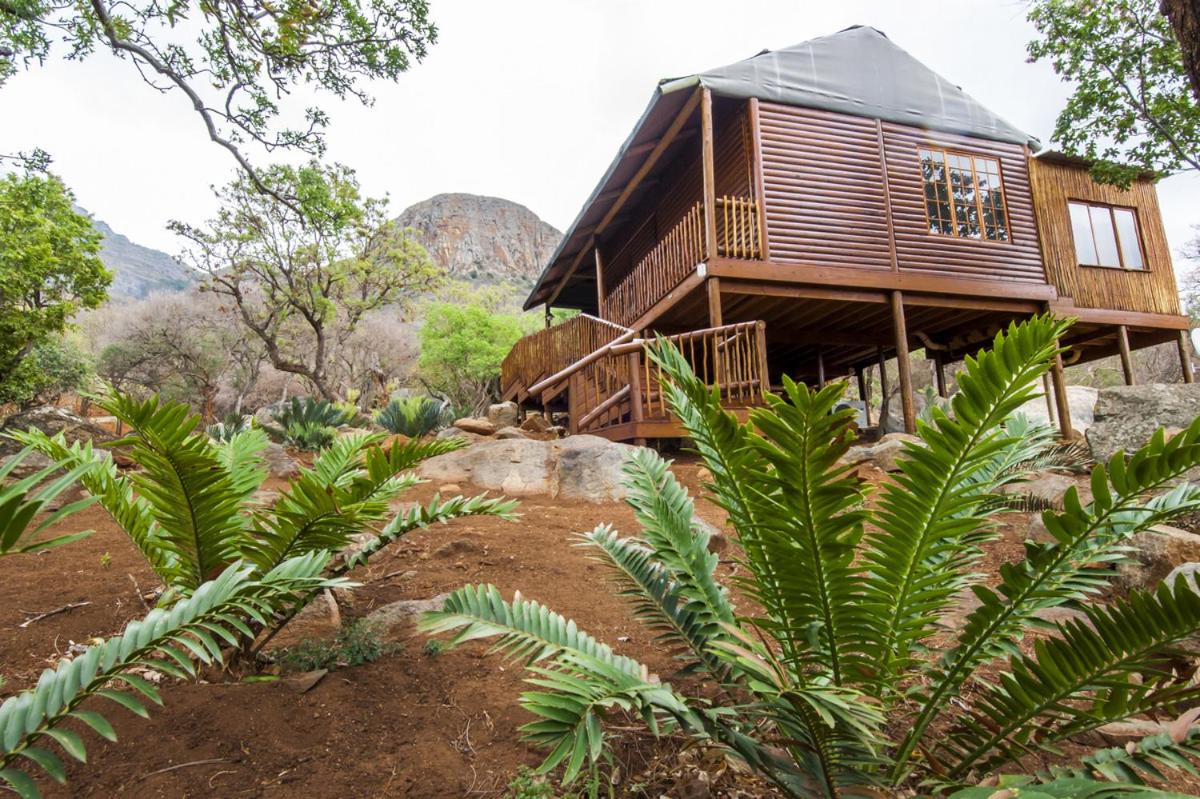 Amafu Forest Lodge