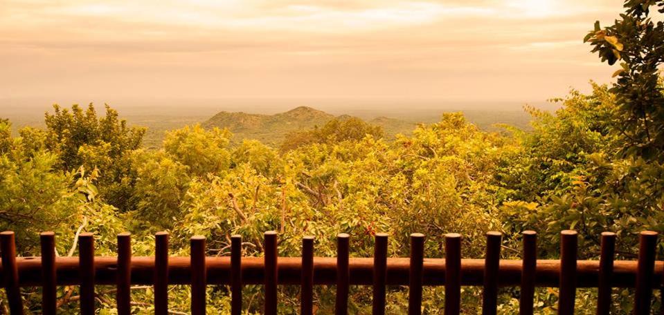 Amafu Forest Lodge