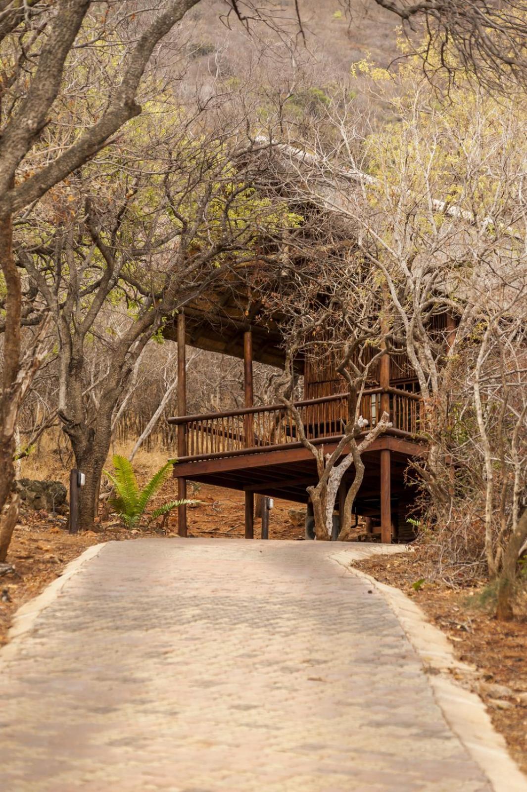Amafu Forest Lodge