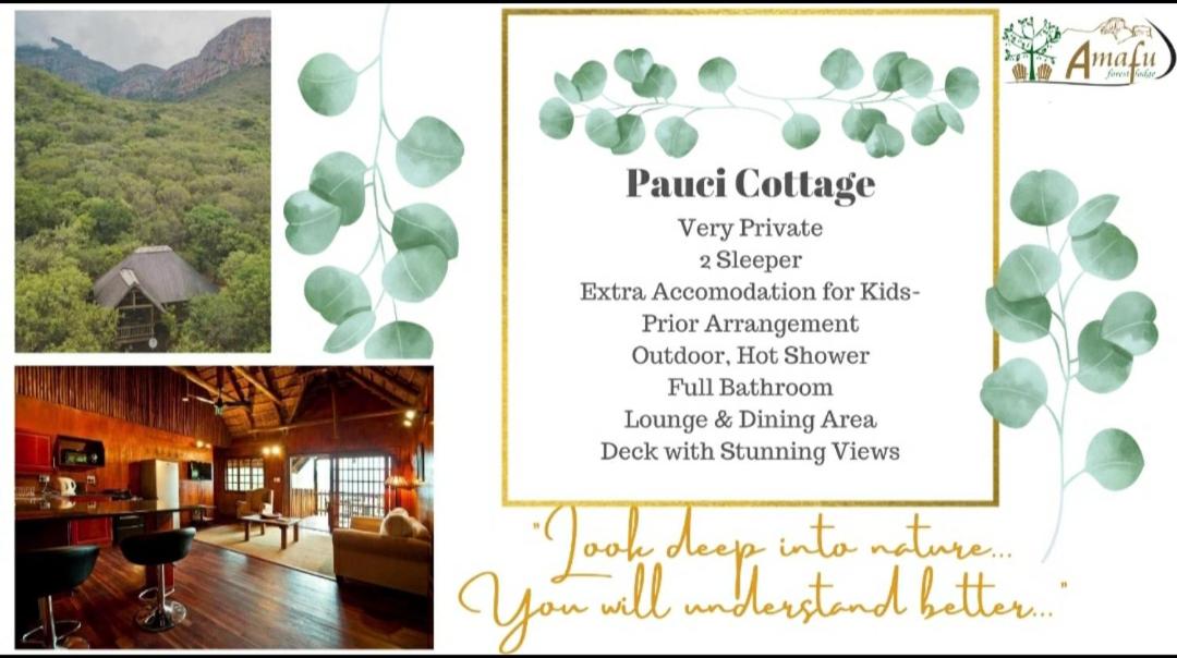 Amafu Forest Lodge