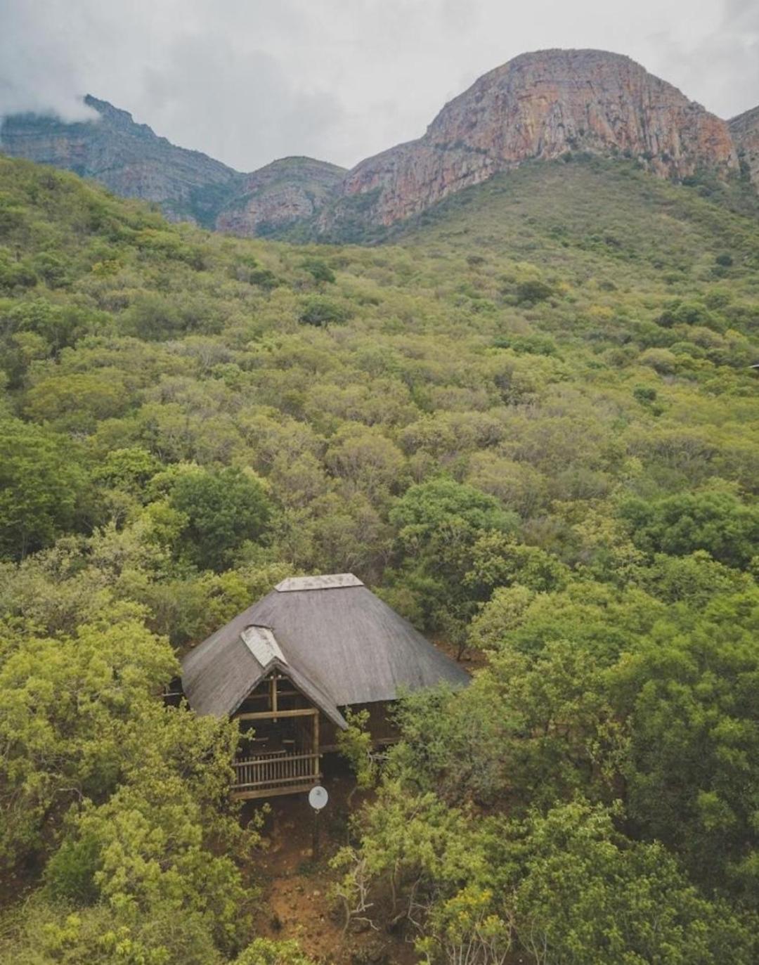 Amafu Forest Lodge