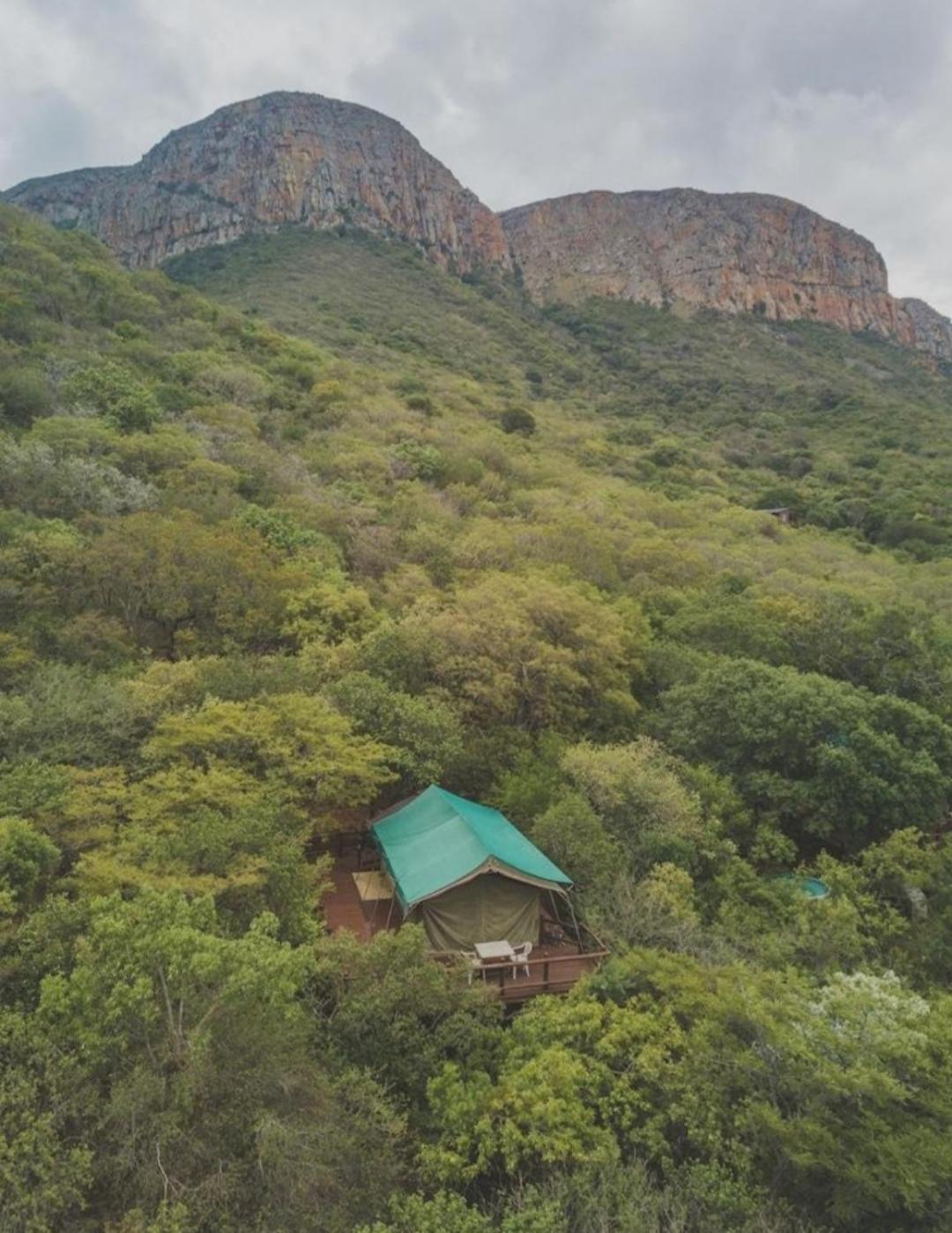 Amafu Forest Lodge