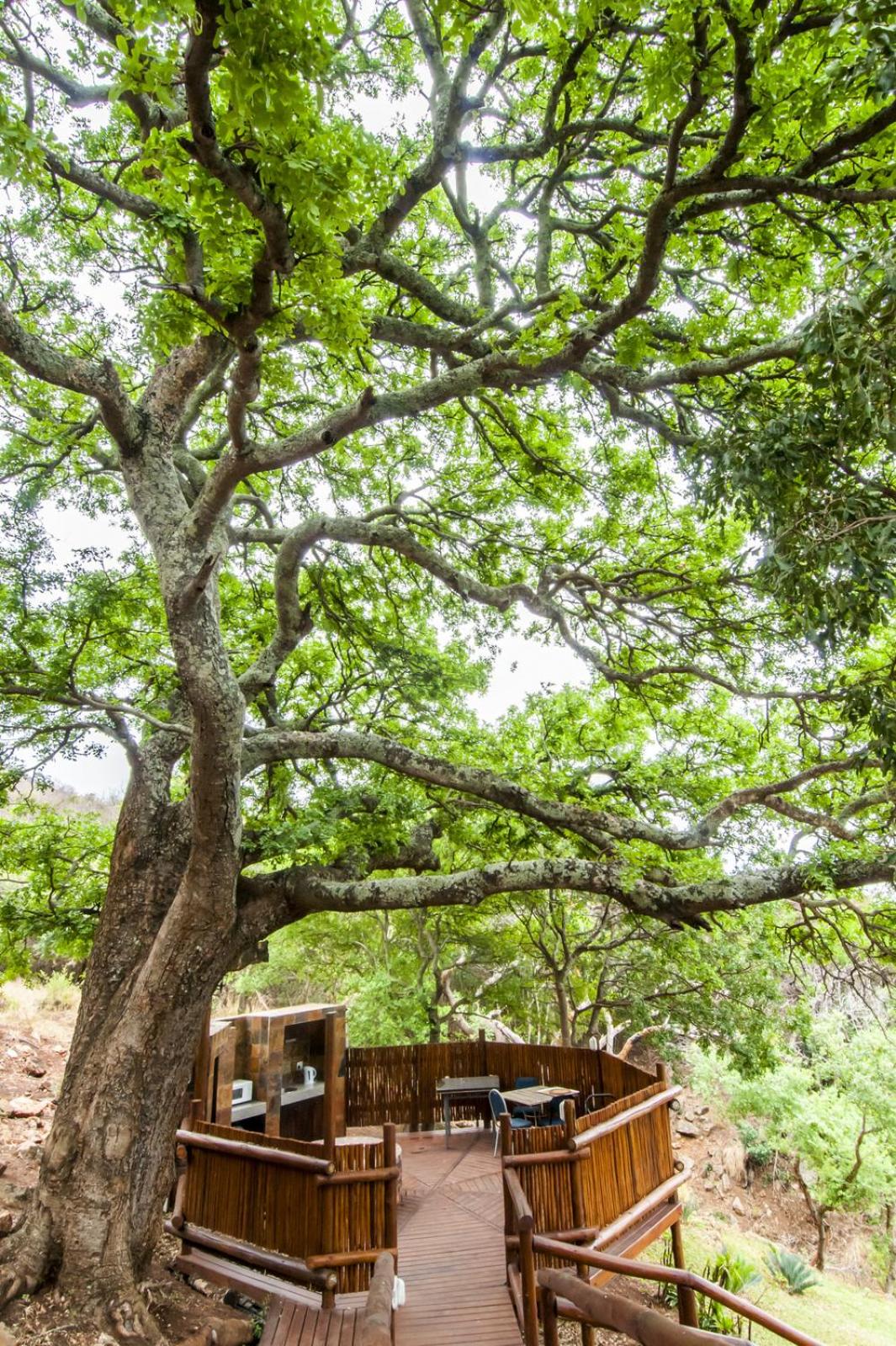 Amafu Forest Lodge
