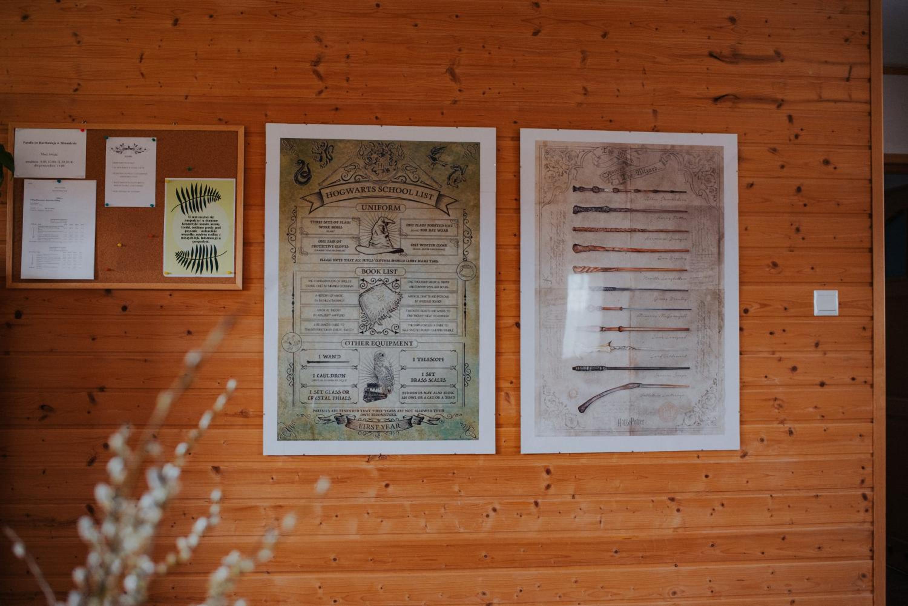 Dom Gościnny Sowia Stópka view 4