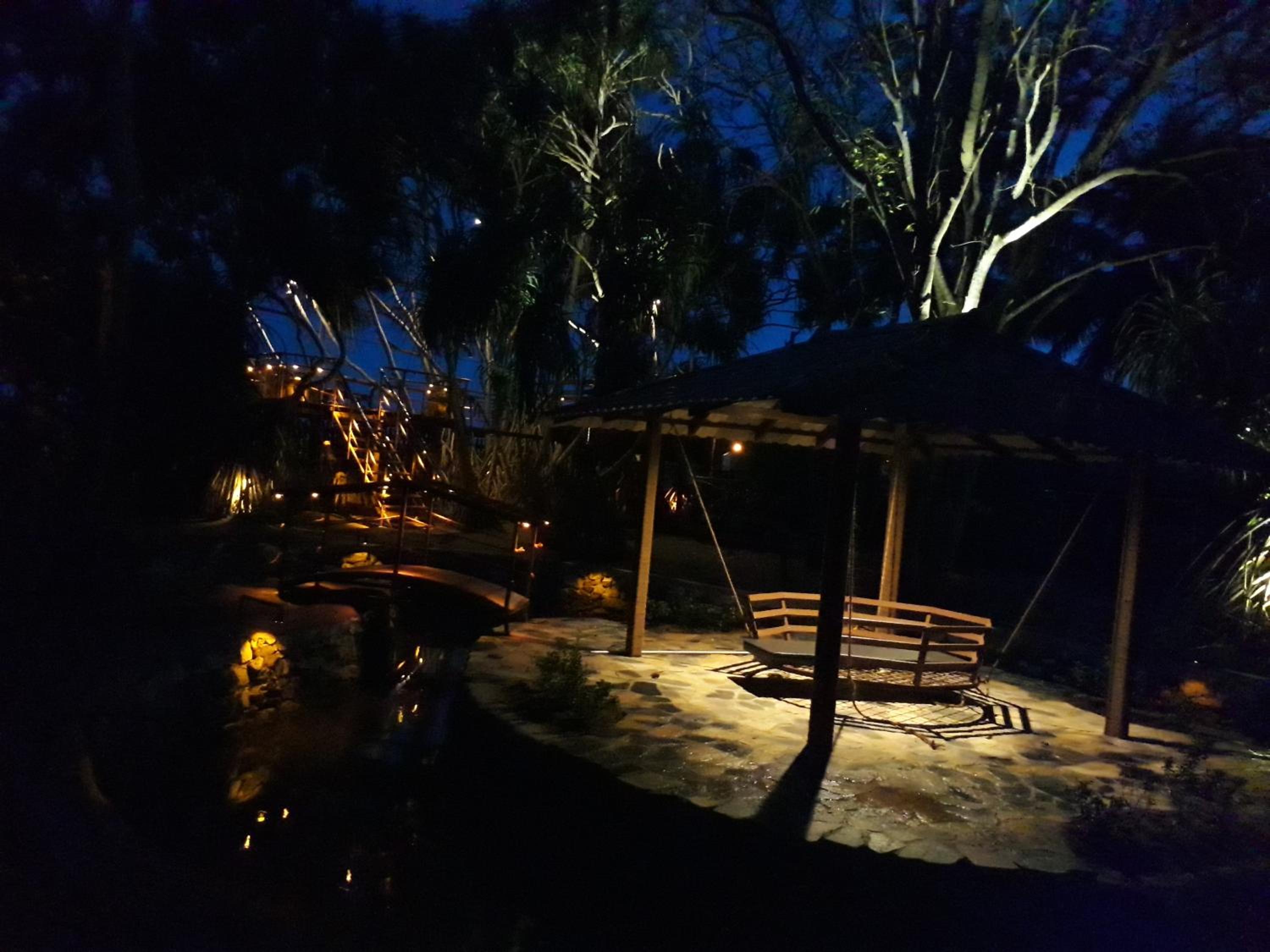 Photo 41