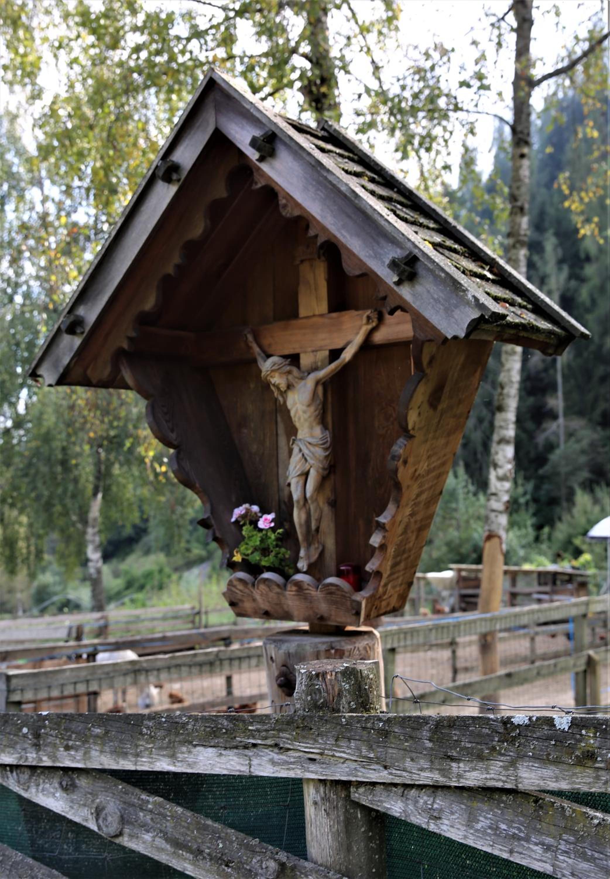 Photo 44