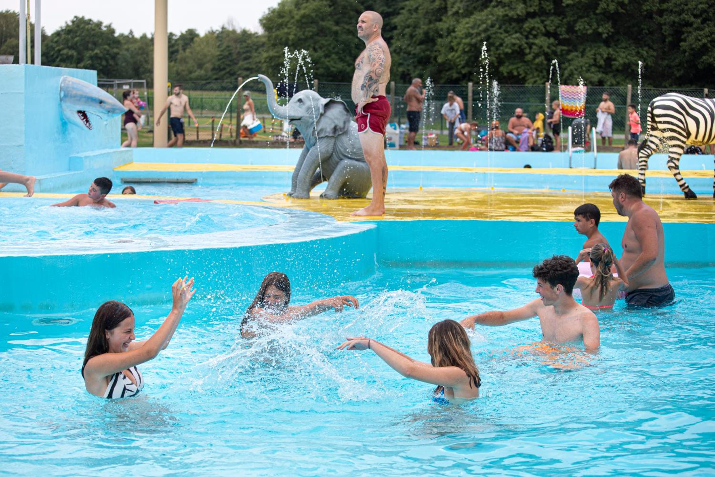 Glamping Belgisch Limburg, photo 3