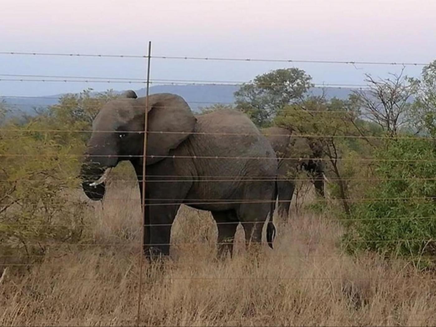 Geluksfontein Private Game Farm