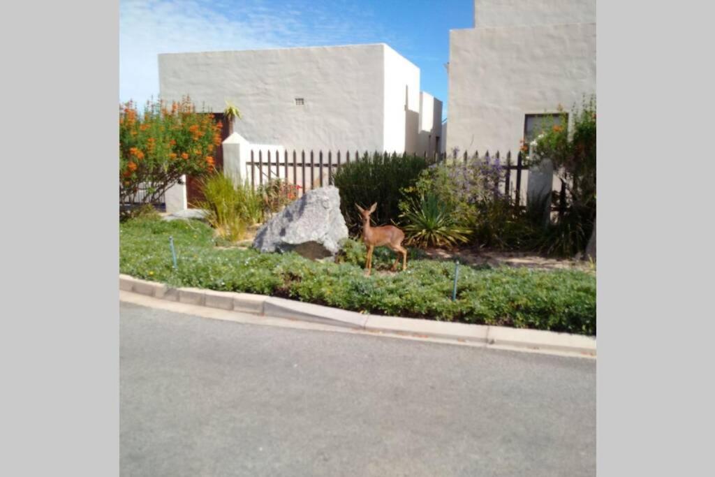 Little Italy Beachouse Apartment by Mykonos view 2