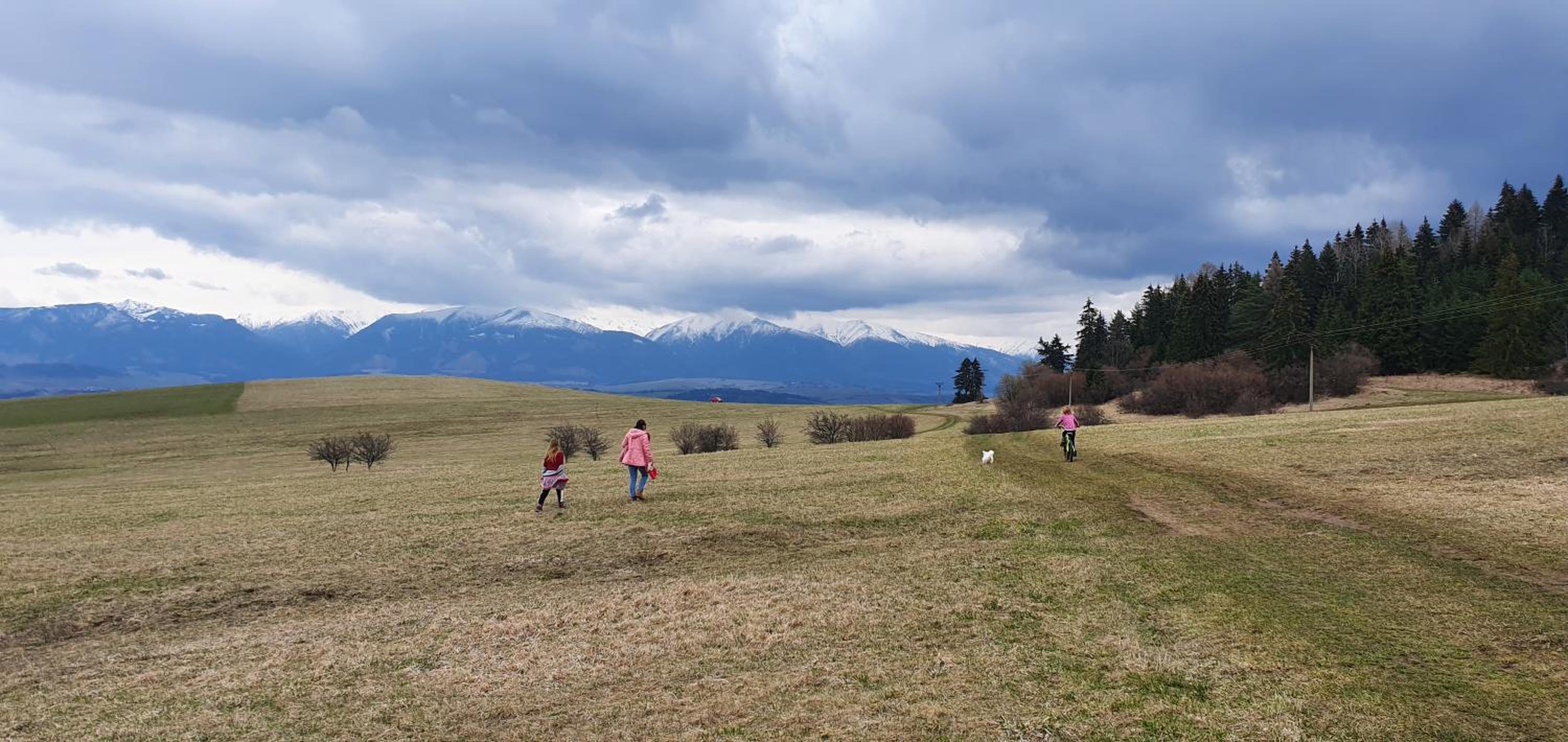 Photo 44