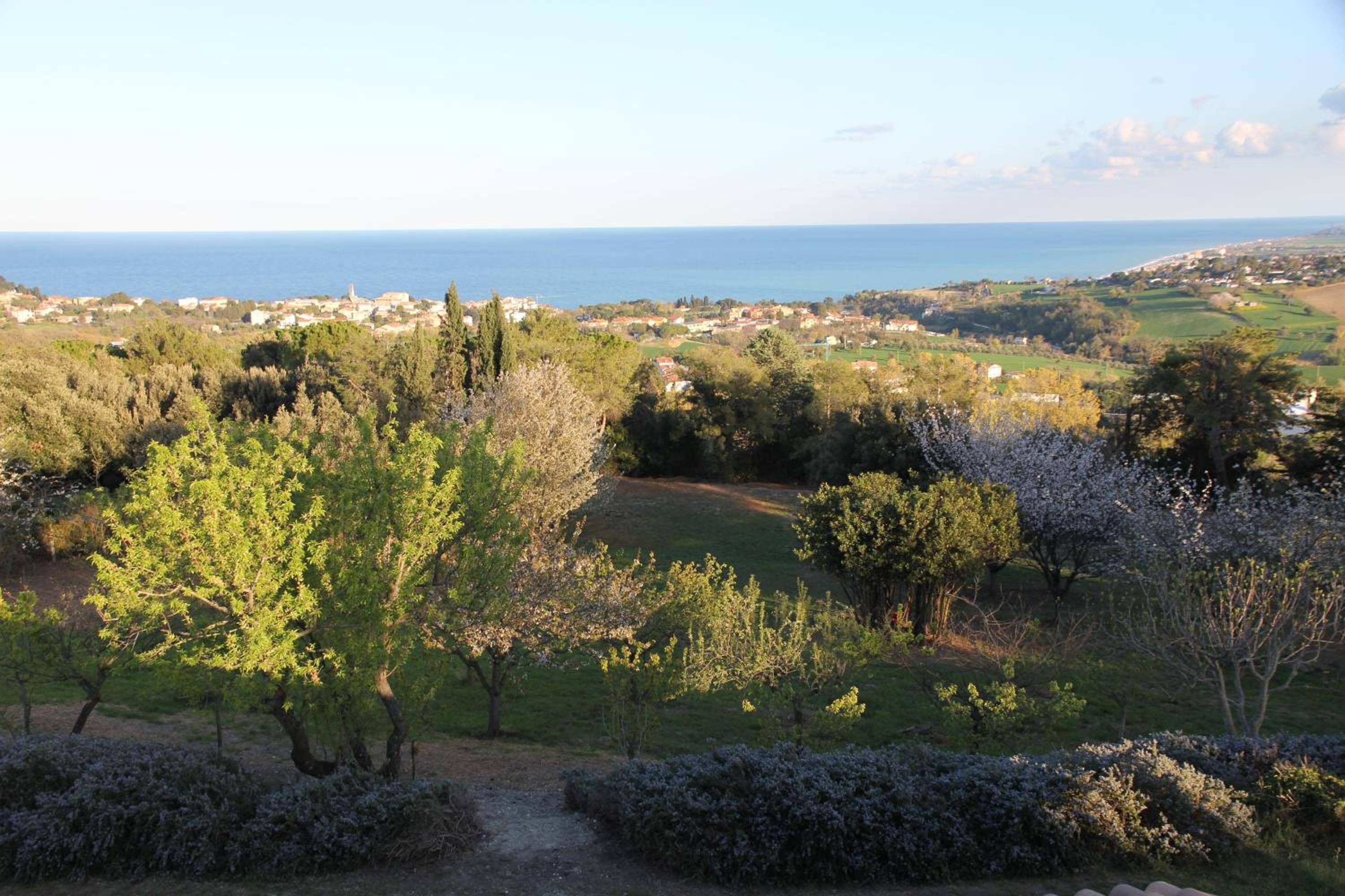 Villa Panorama Sirolo view 4